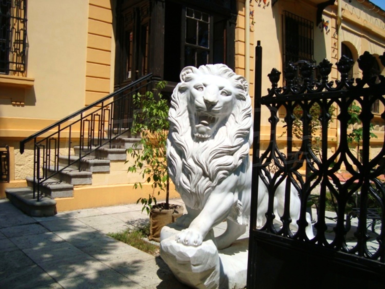 Gallery Picture 5