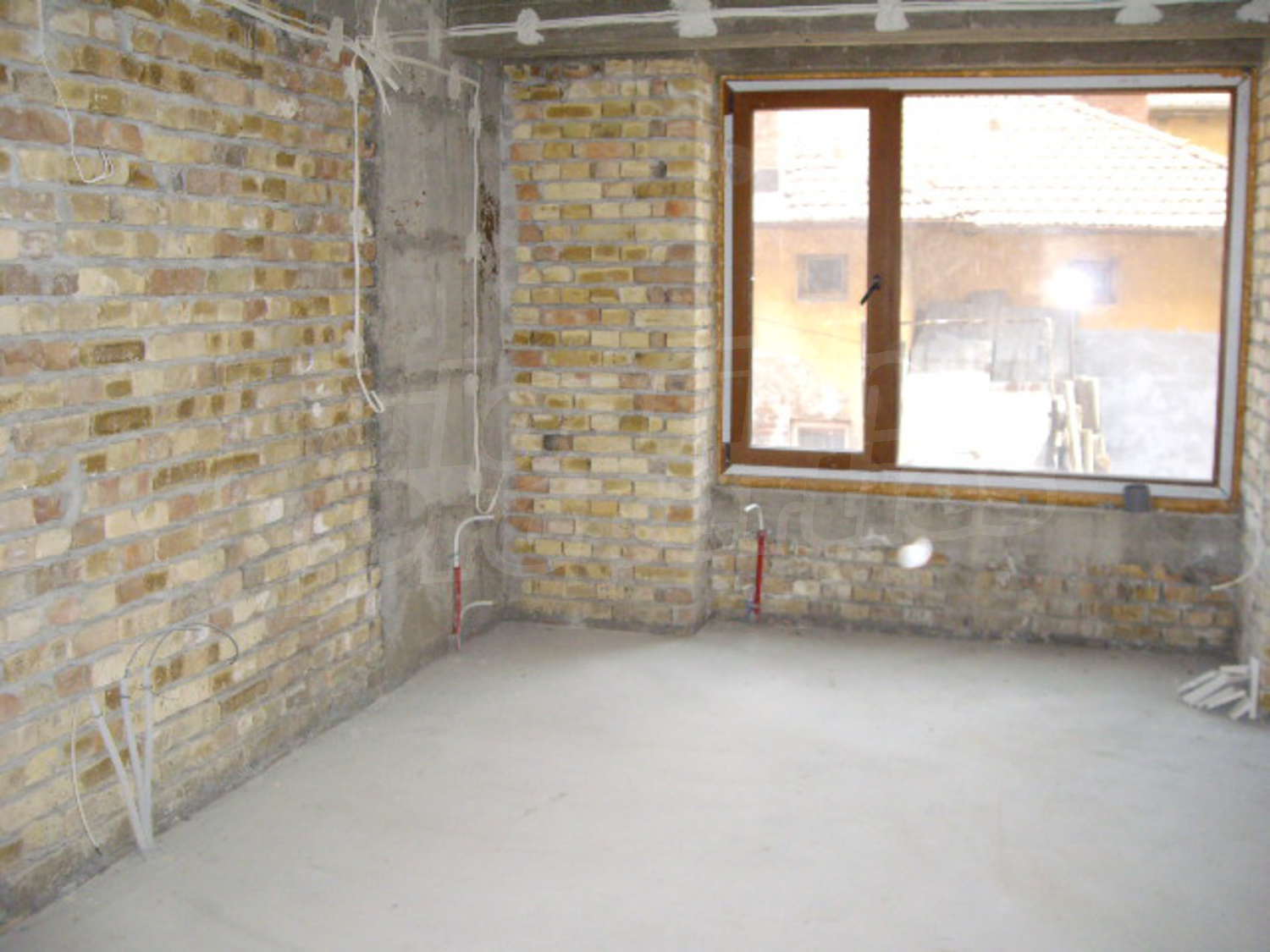 Gallery Picture 12