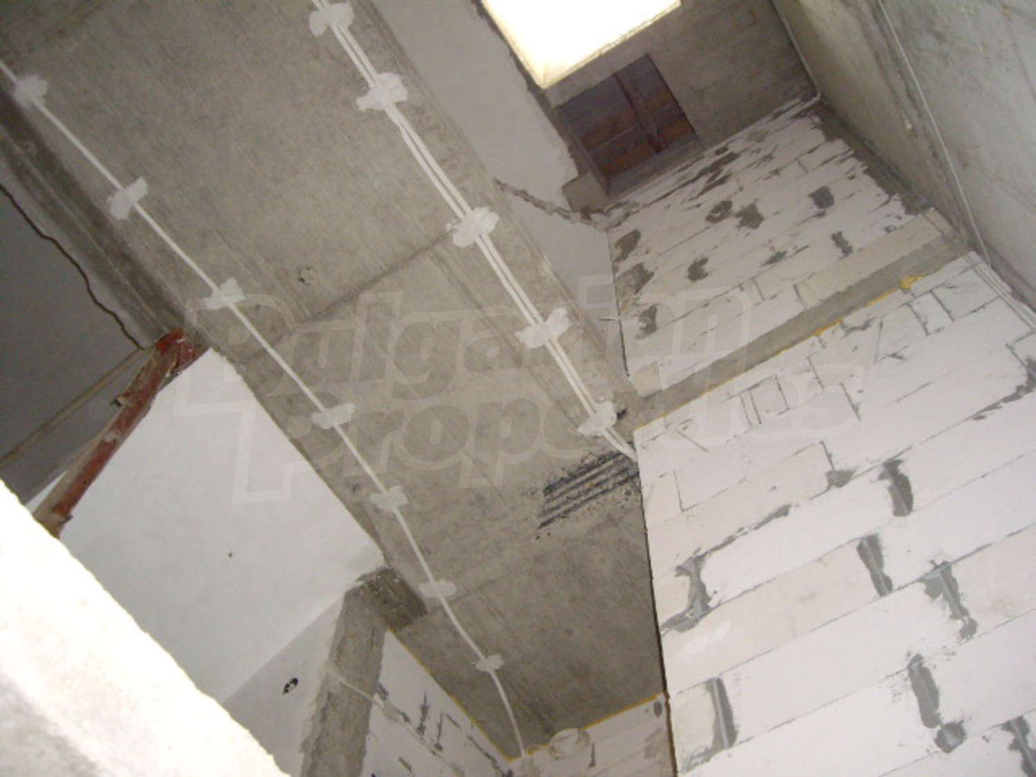 Gallery Picture 17