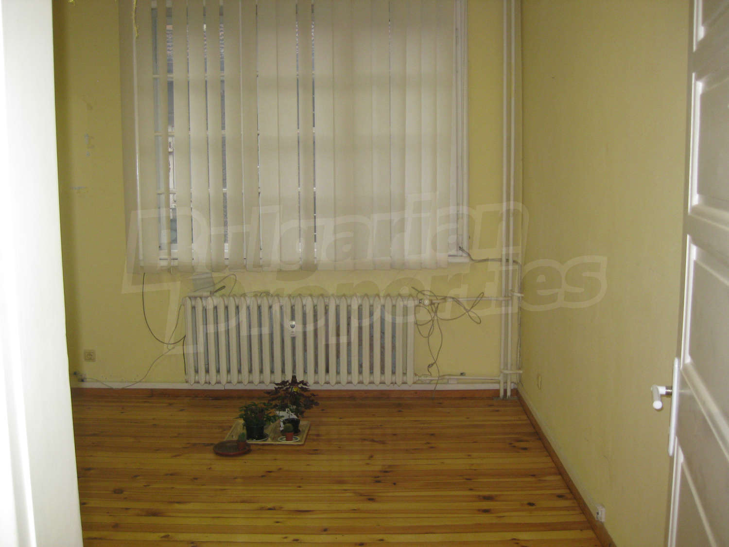 Gallery Picture 4