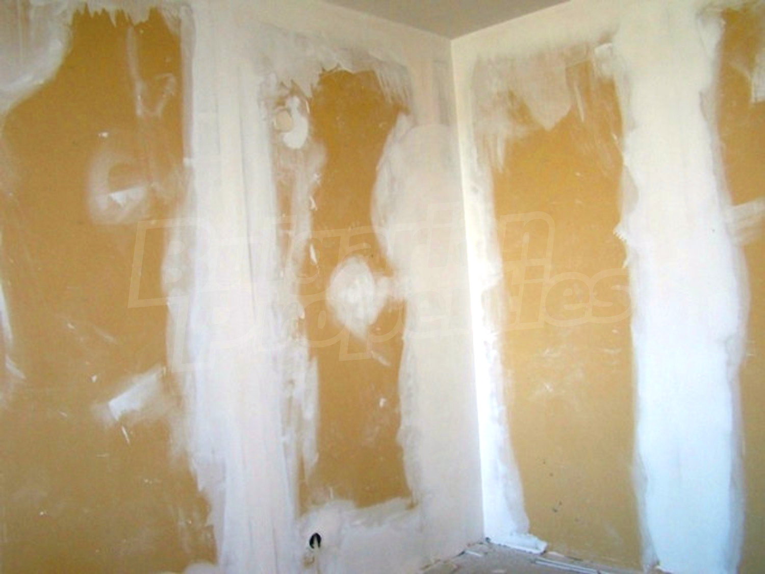Gallery Picture 15