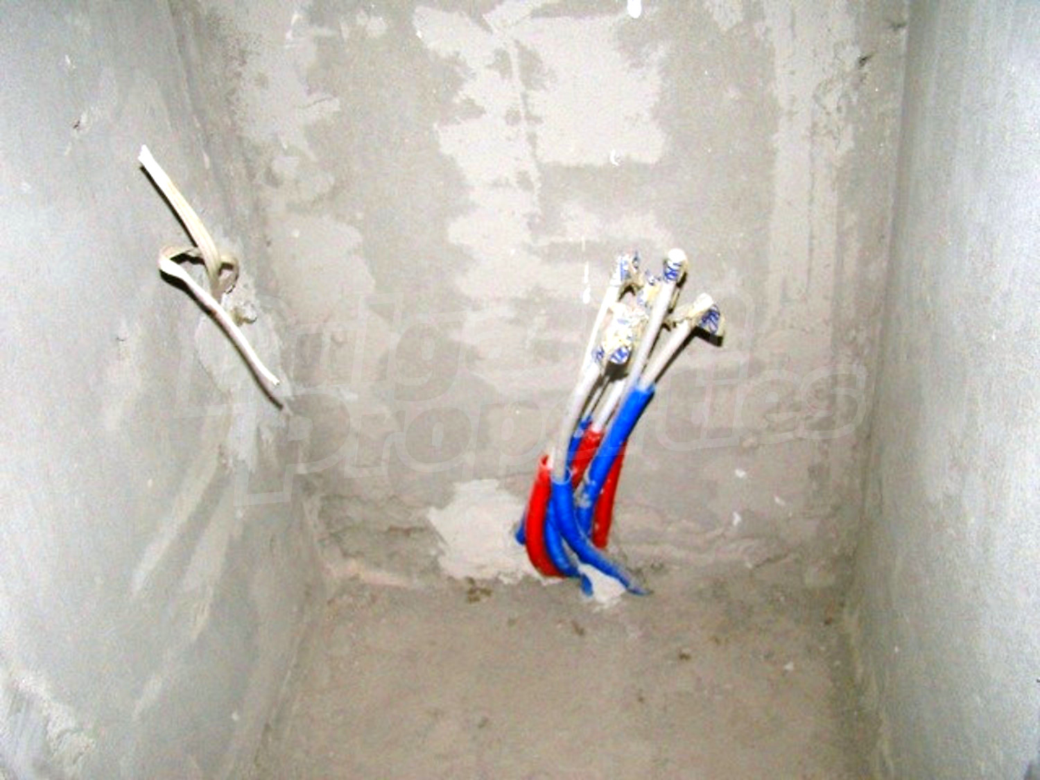 Gallery Picture 21