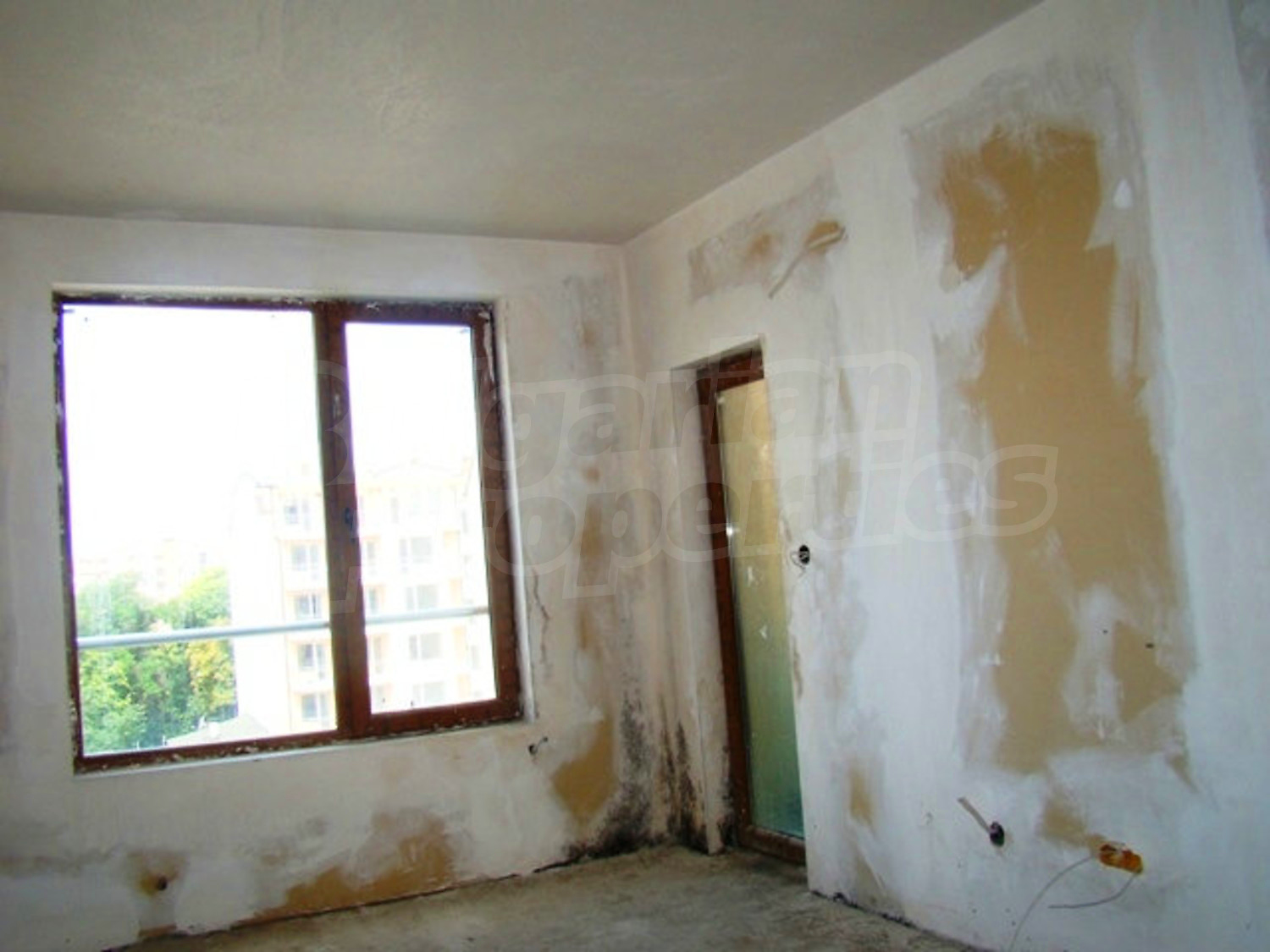 Gallery Picture 23