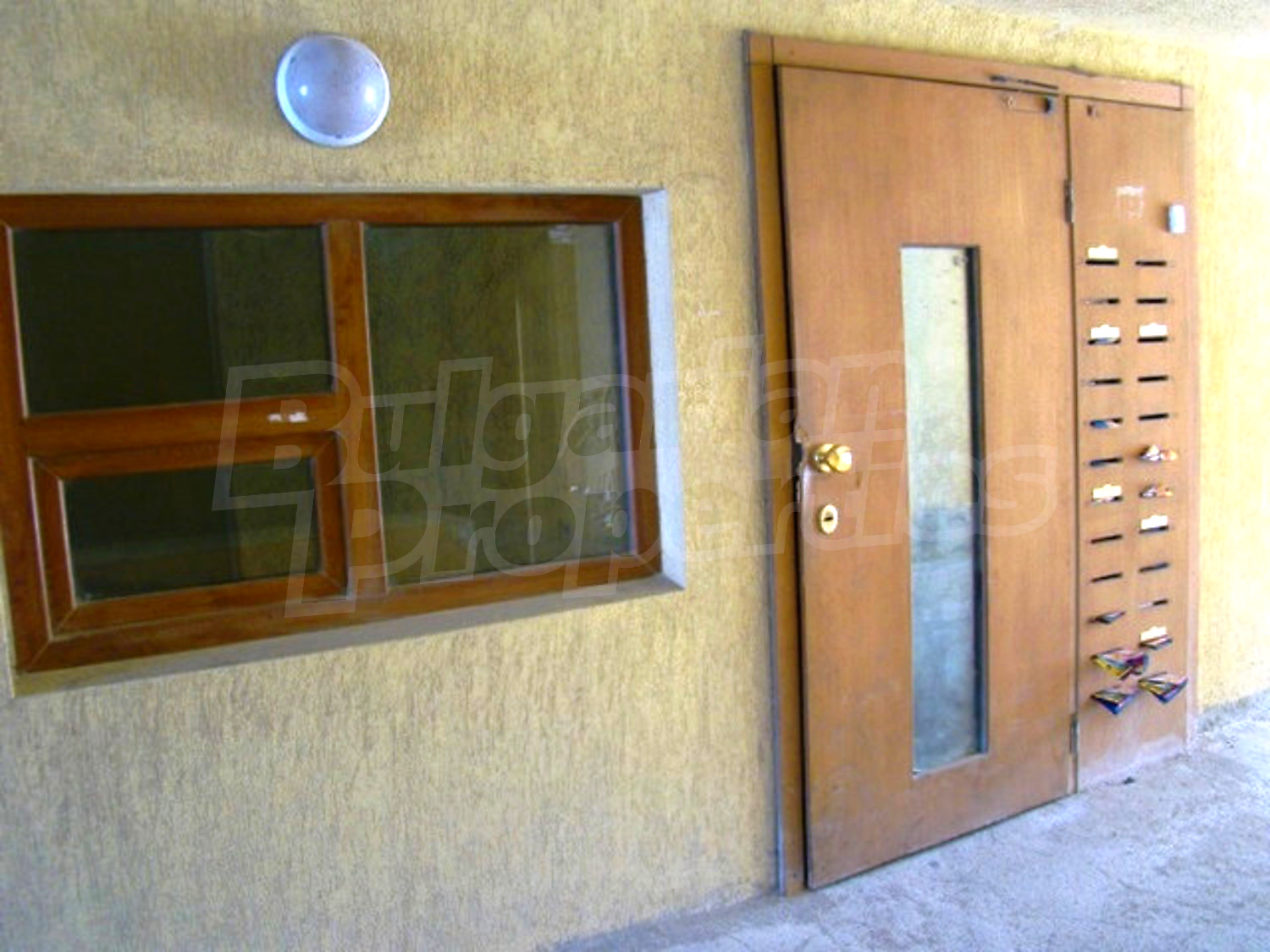 Gallery Picture 7