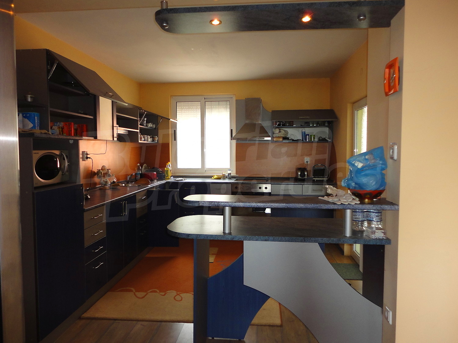 Gallery Picture 19