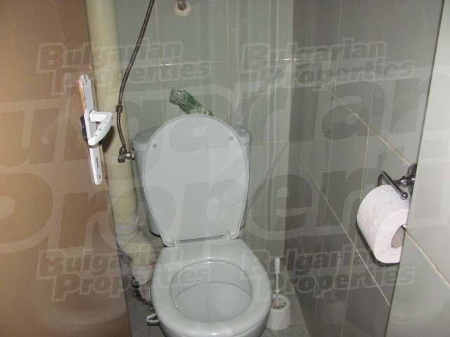 Gallery Picture 10