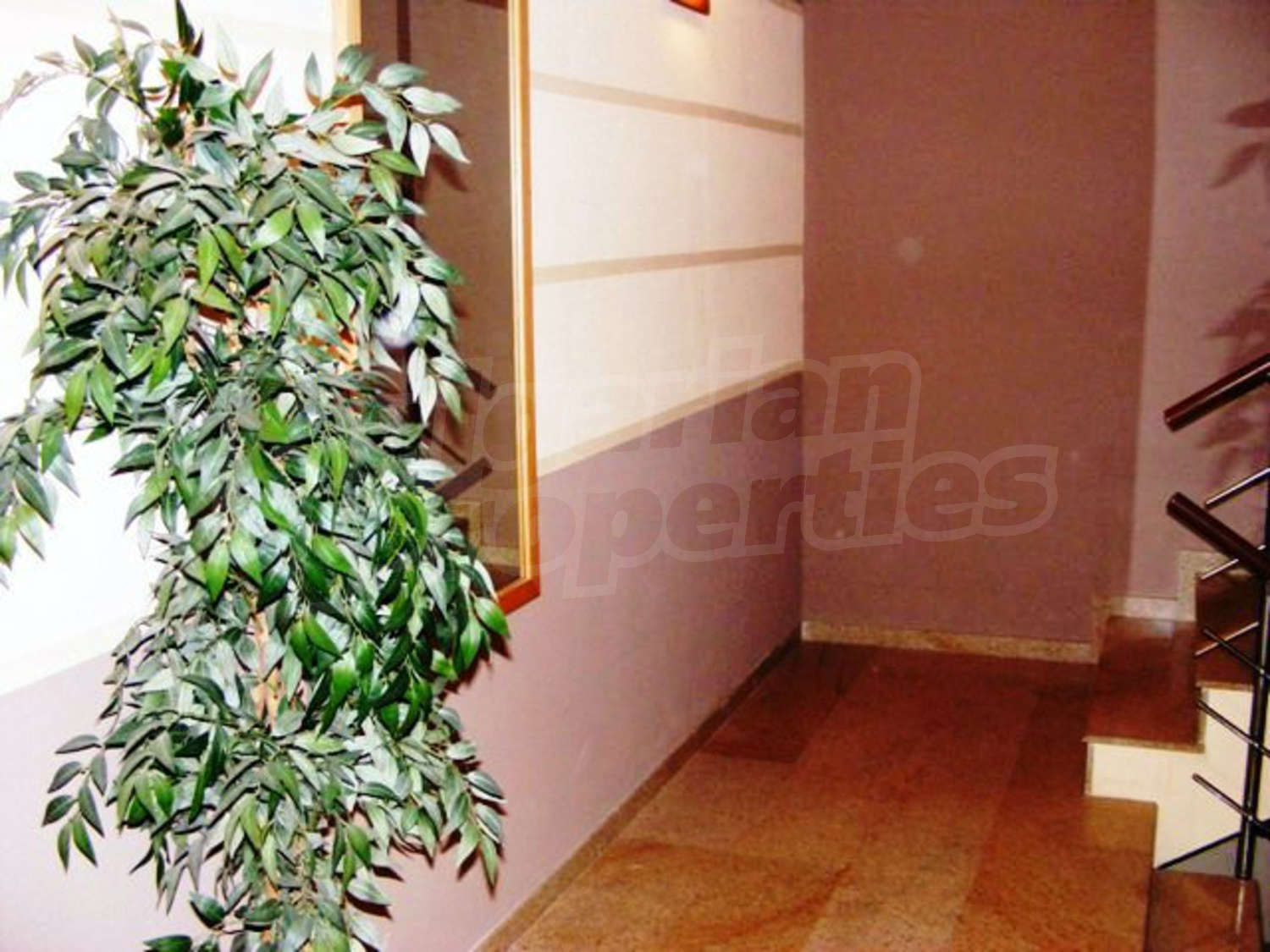 Gallery Picture 35