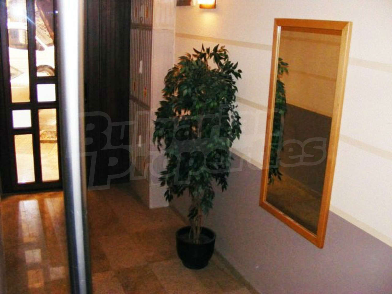 Gallery Picture 37