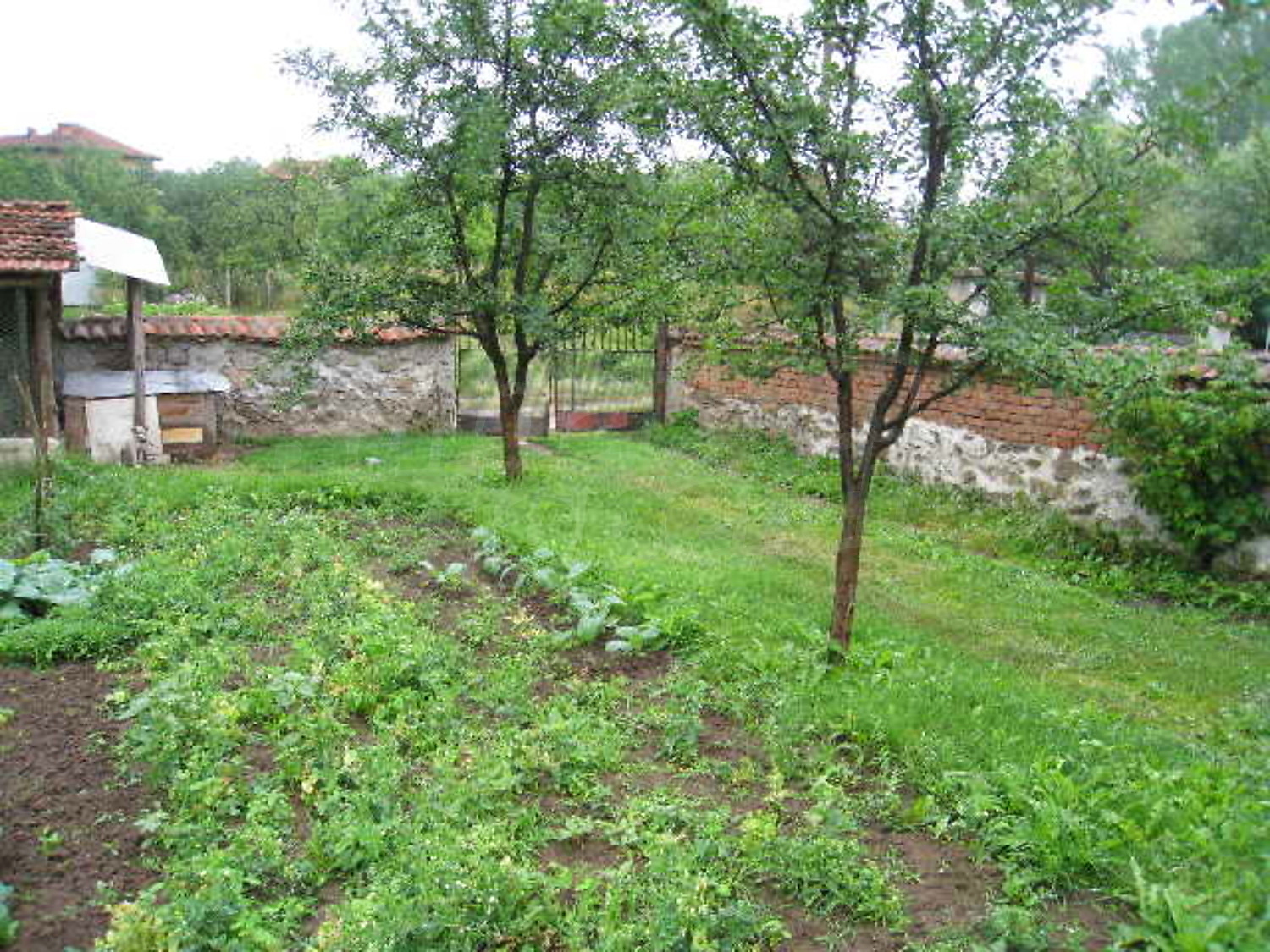 Gallery Picture 14
