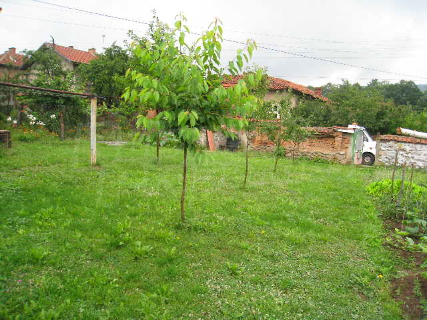 Gallery Picture 16