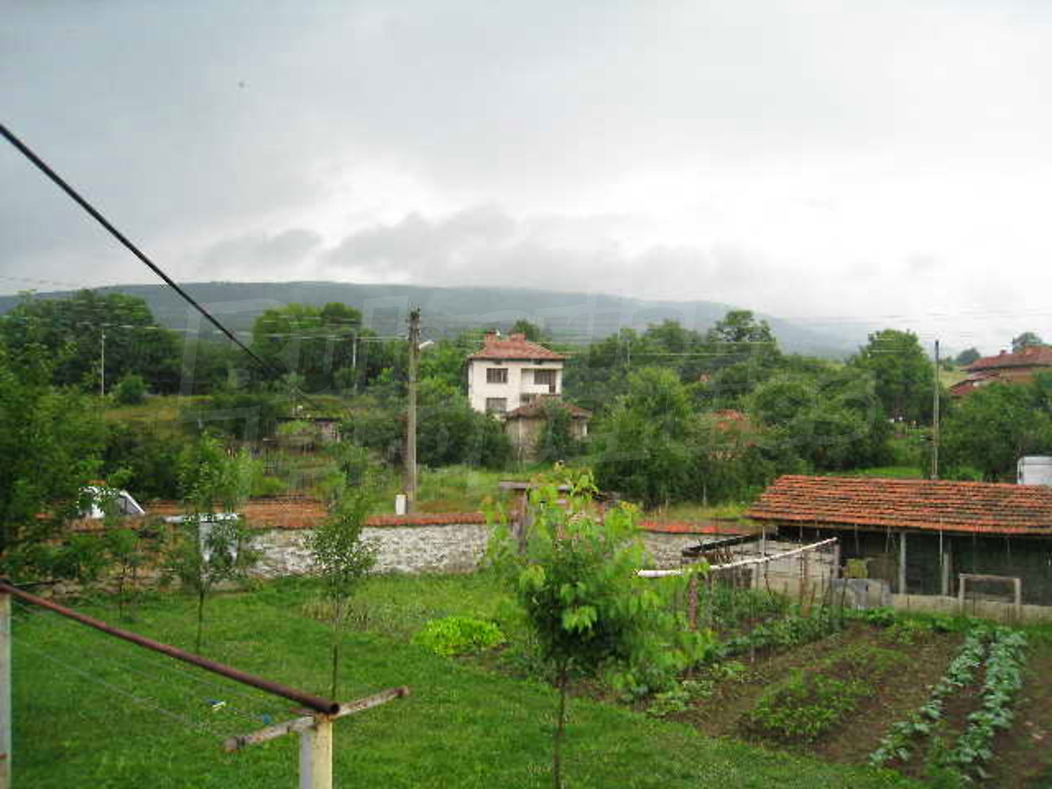 Gallery Picture 17