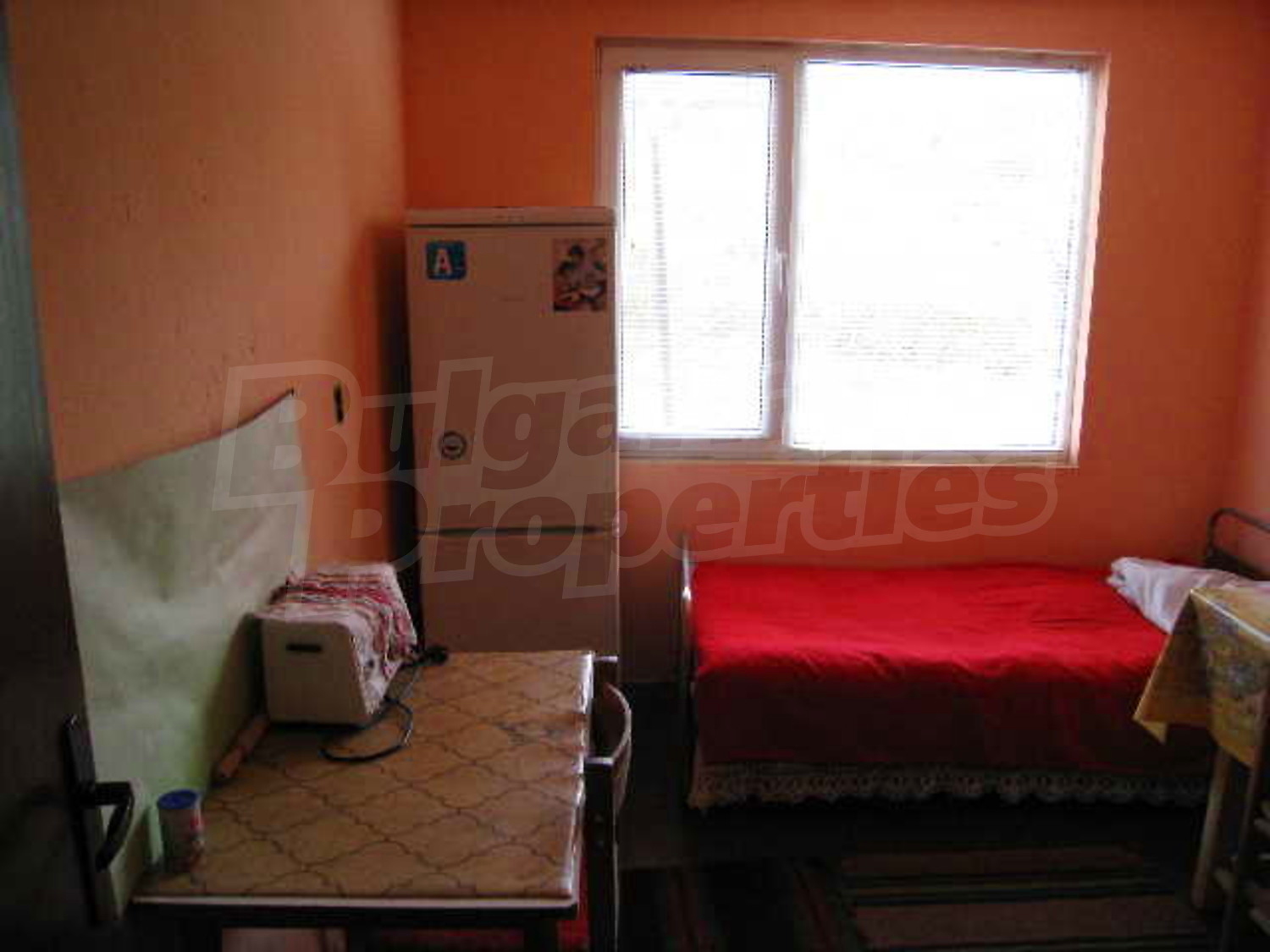 Gallery Picture 7
