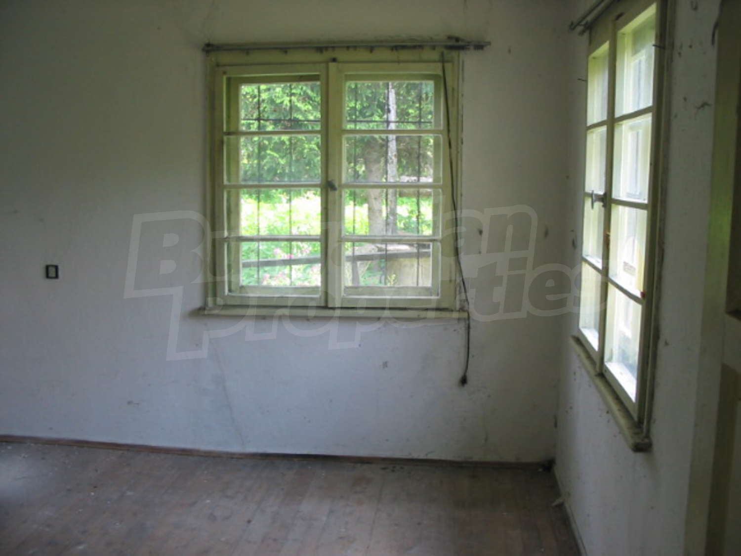 Gallery Picture 10