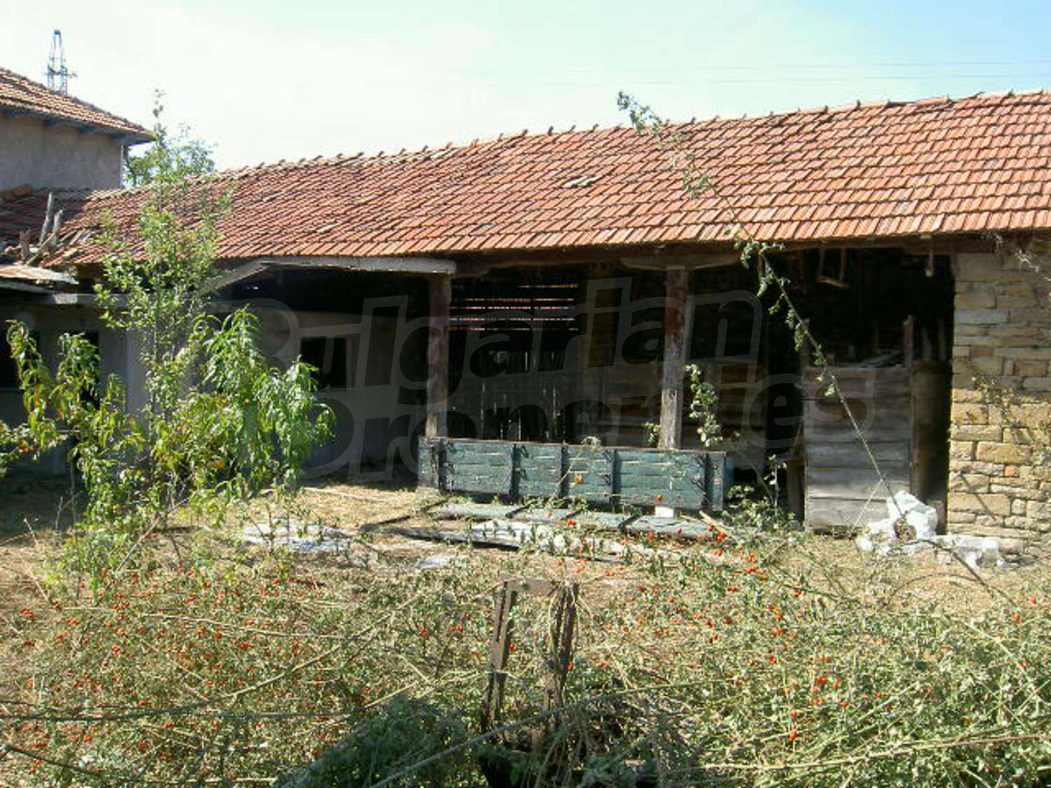 Gallery Picture 12