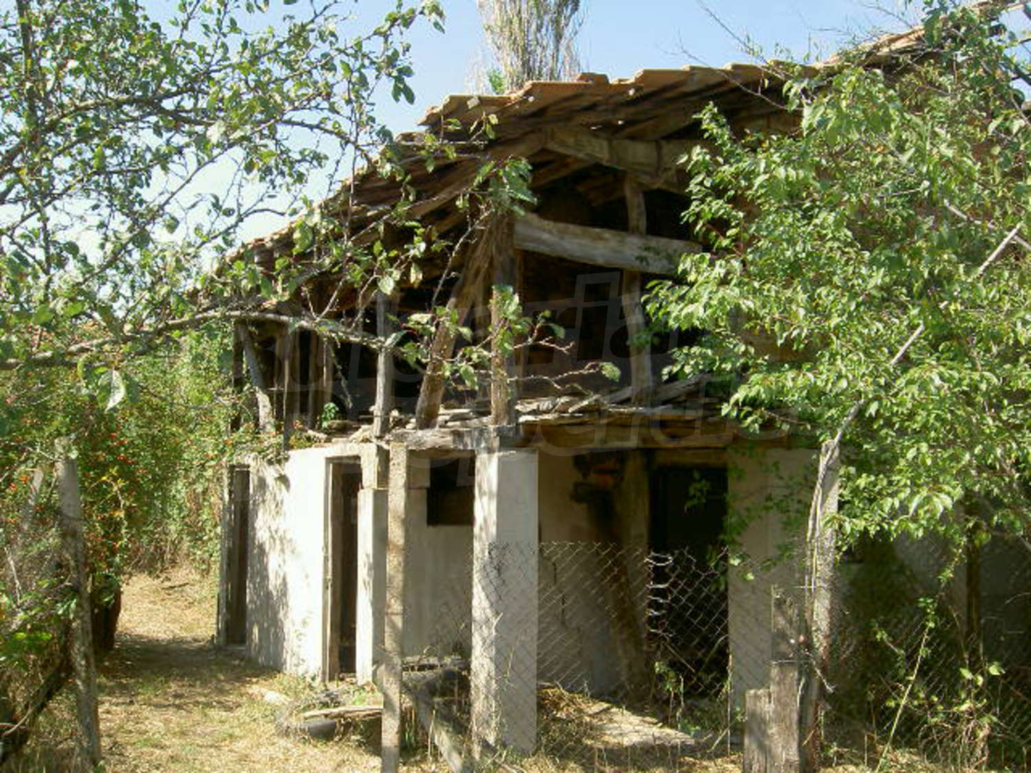 Gallery Picture 13