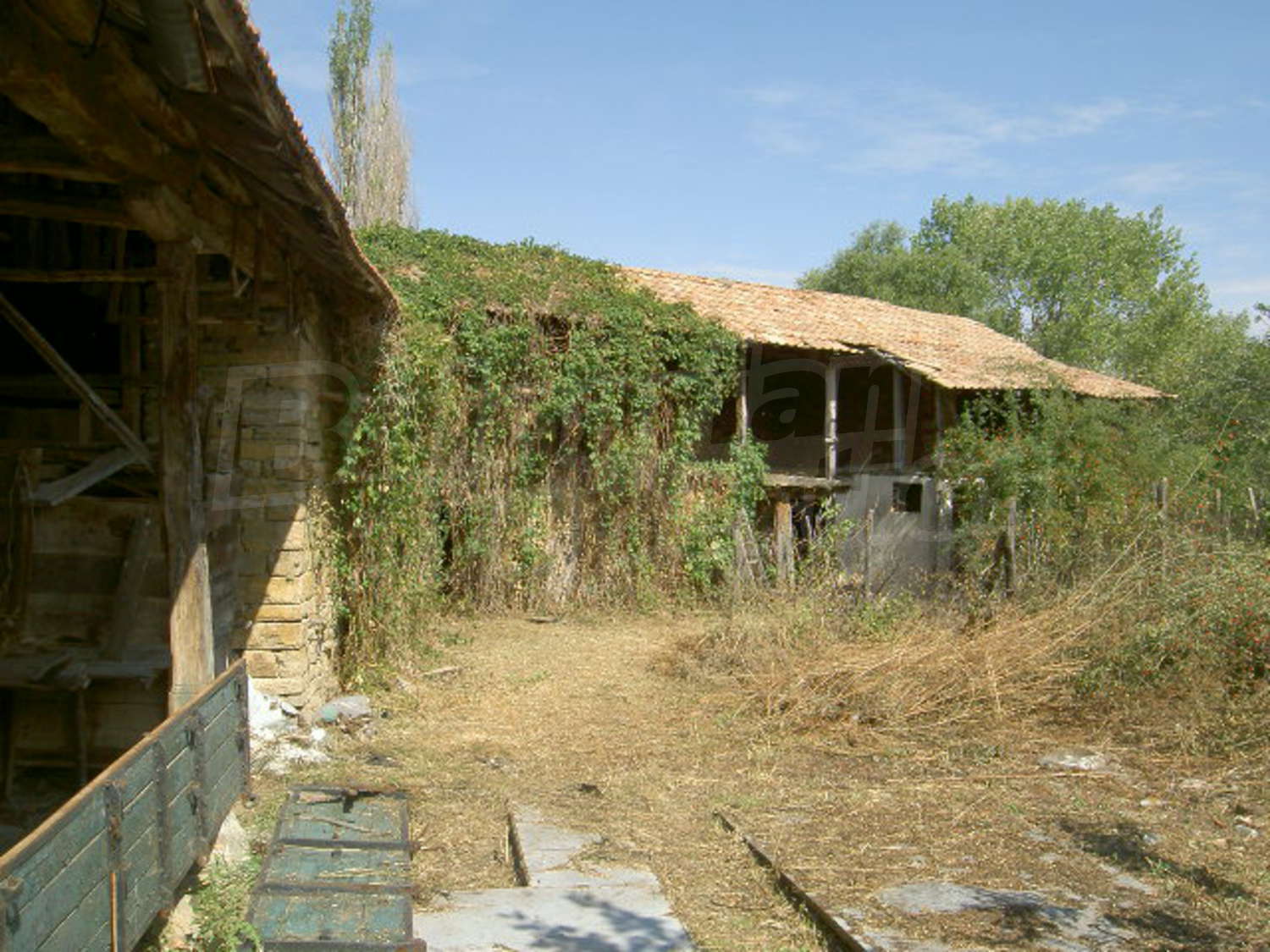 Gallery Picture 14