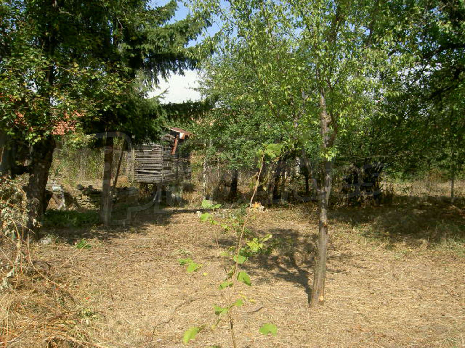 Gallery Picture 15