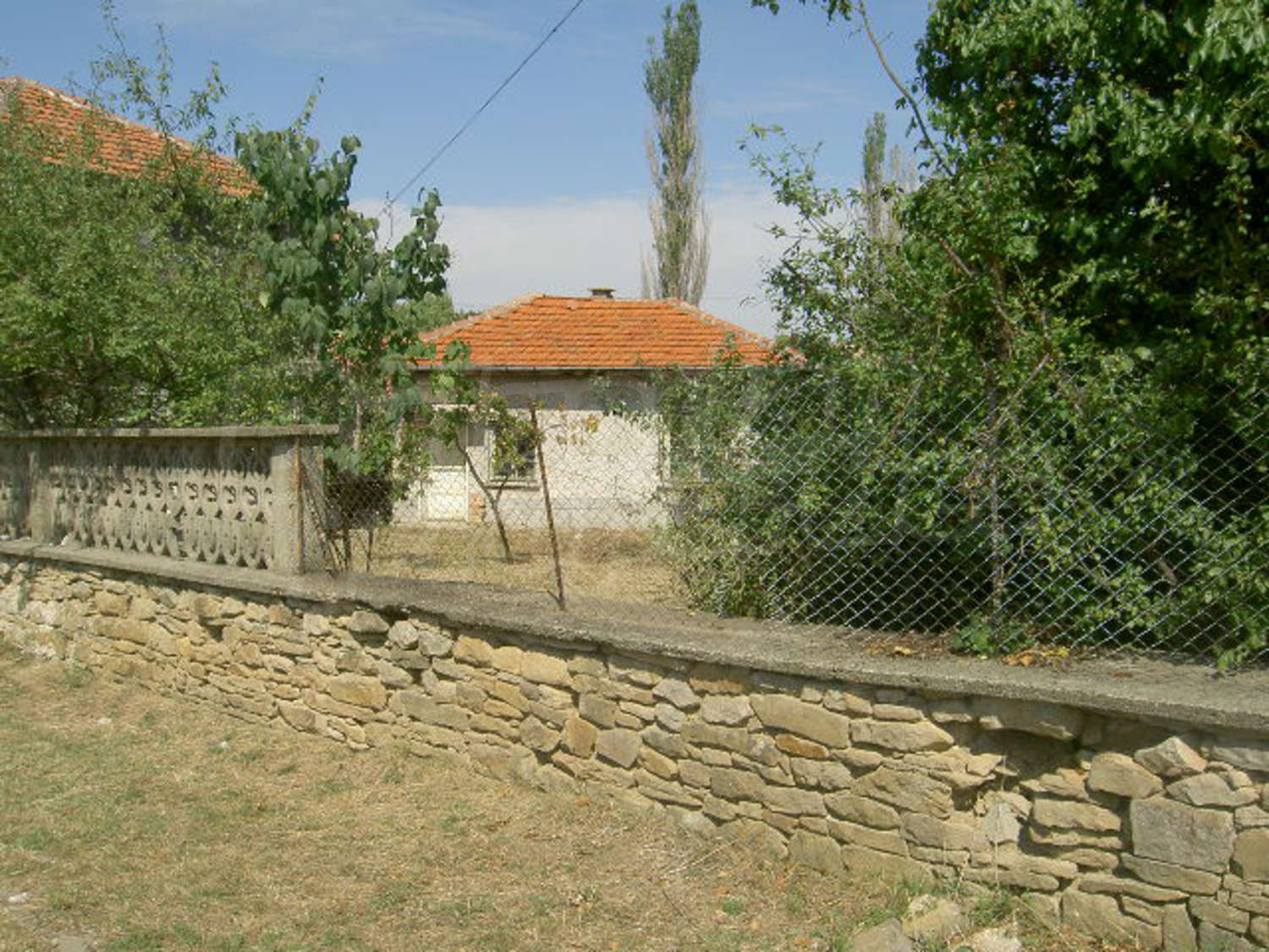 Gallery Picture 16