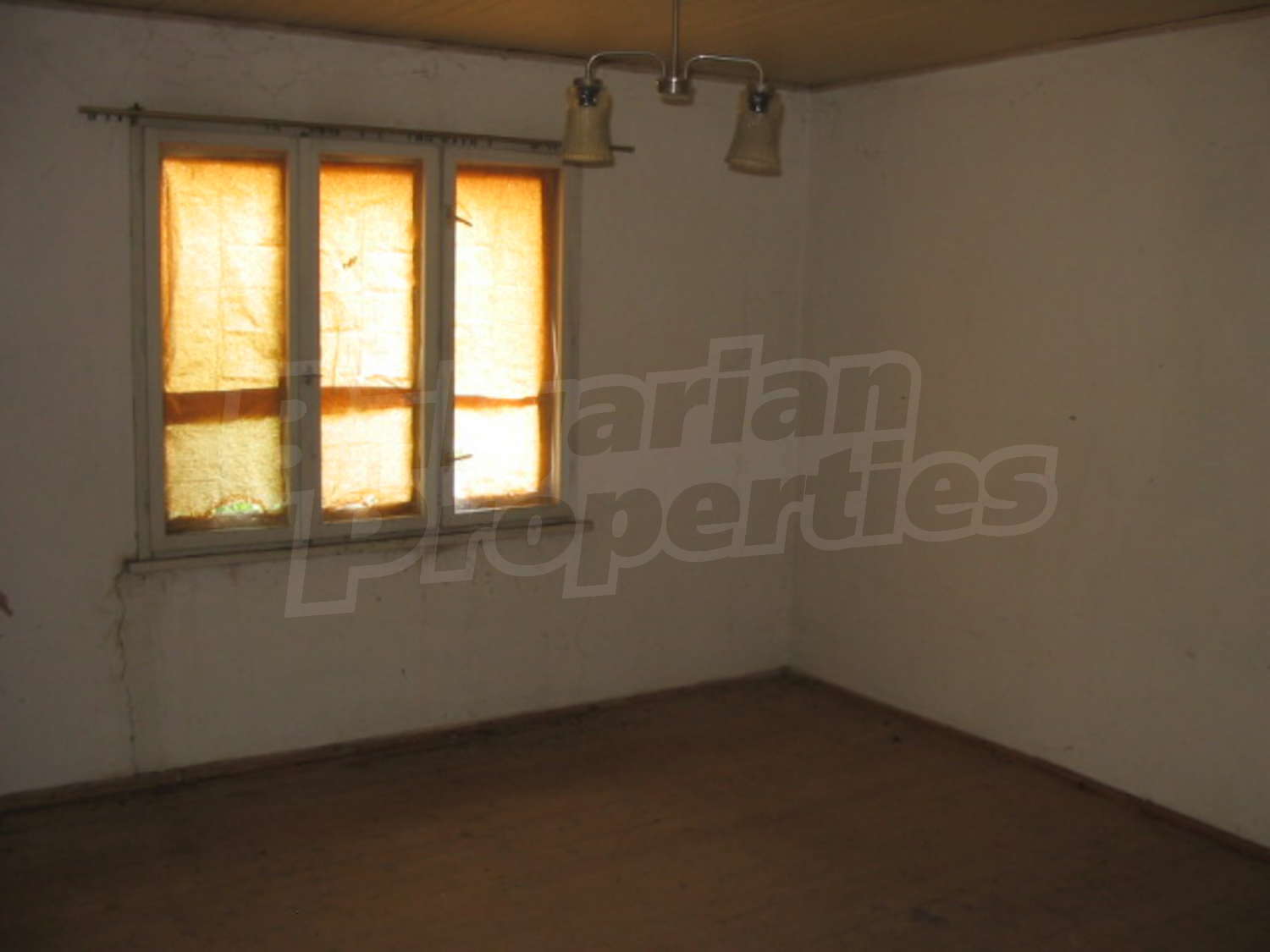 Gallery Picture 7