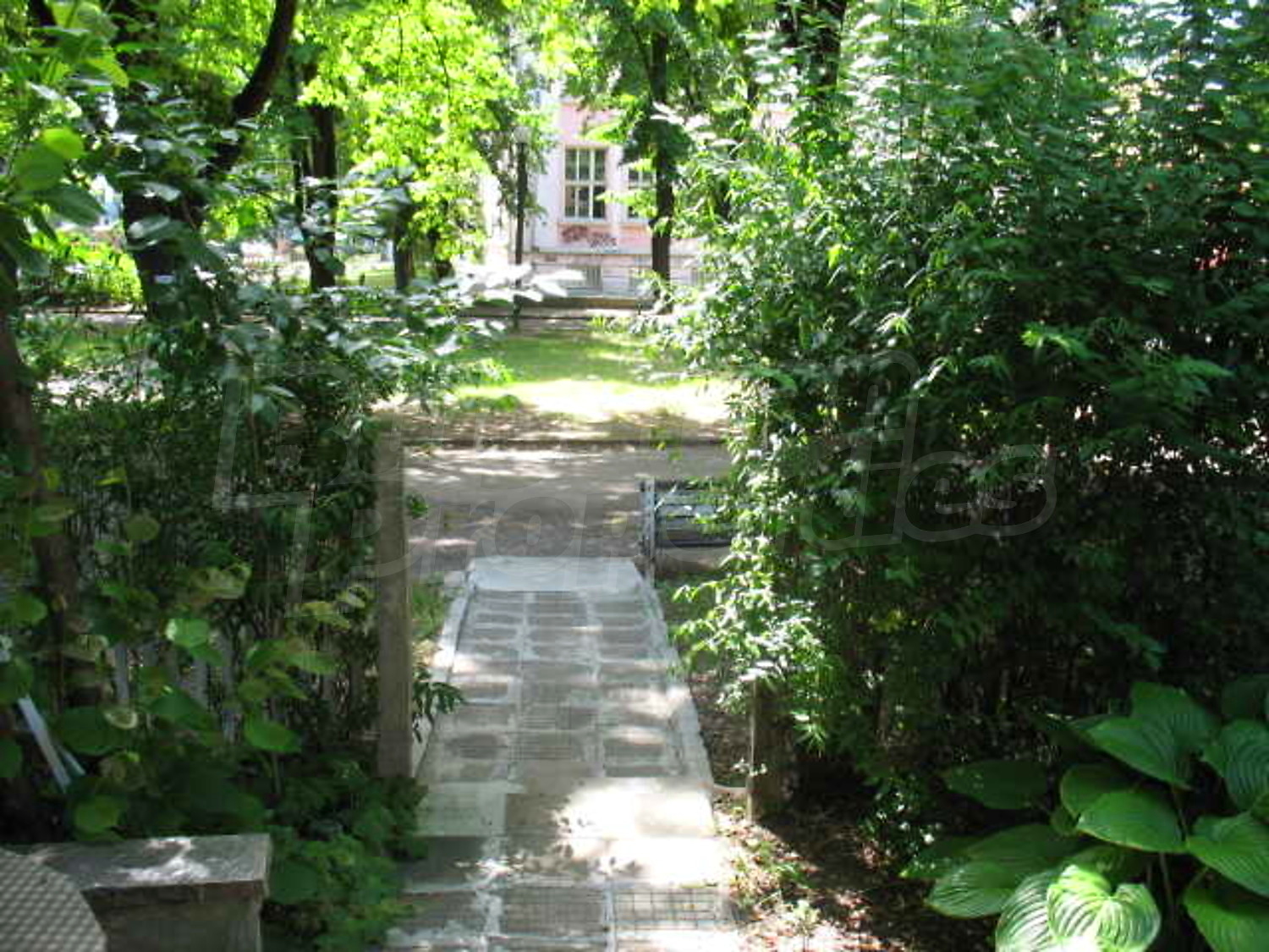 Gallery Picture 14