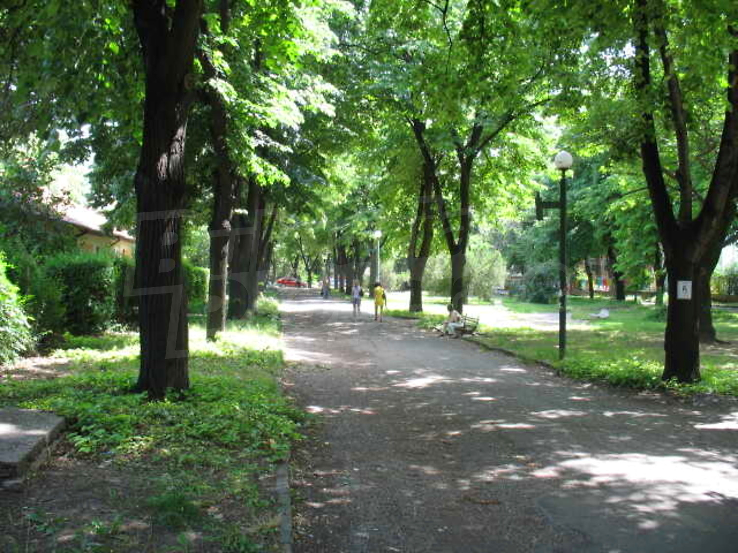 Gallery Picture 15