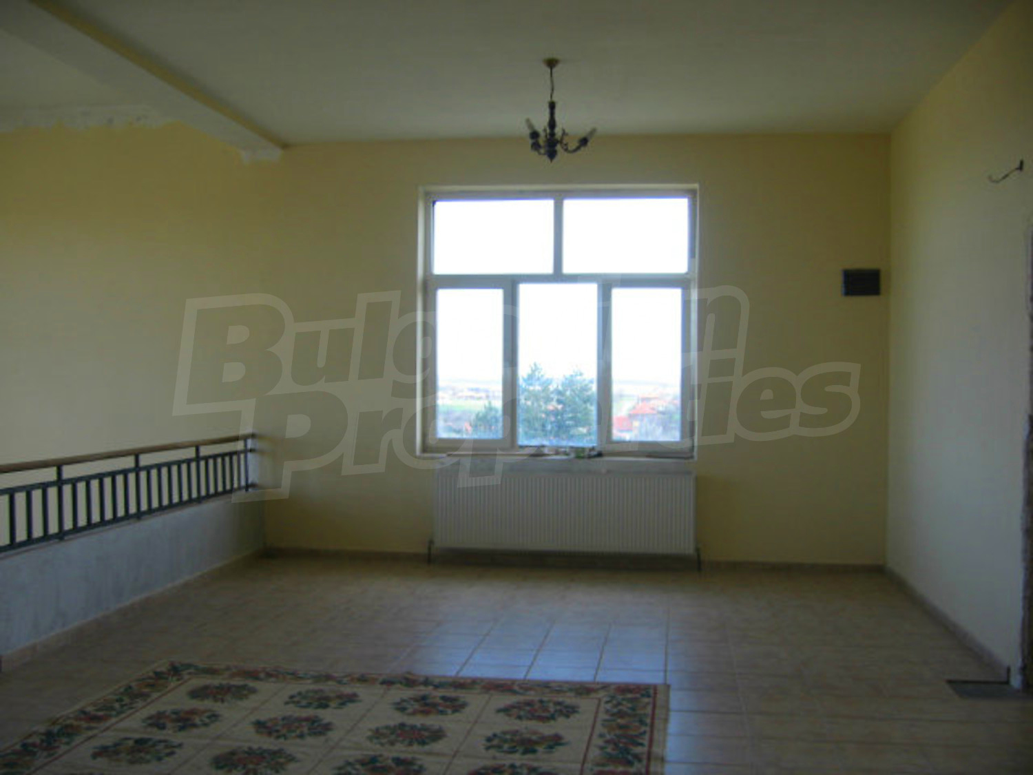 Gallery Picture 29
