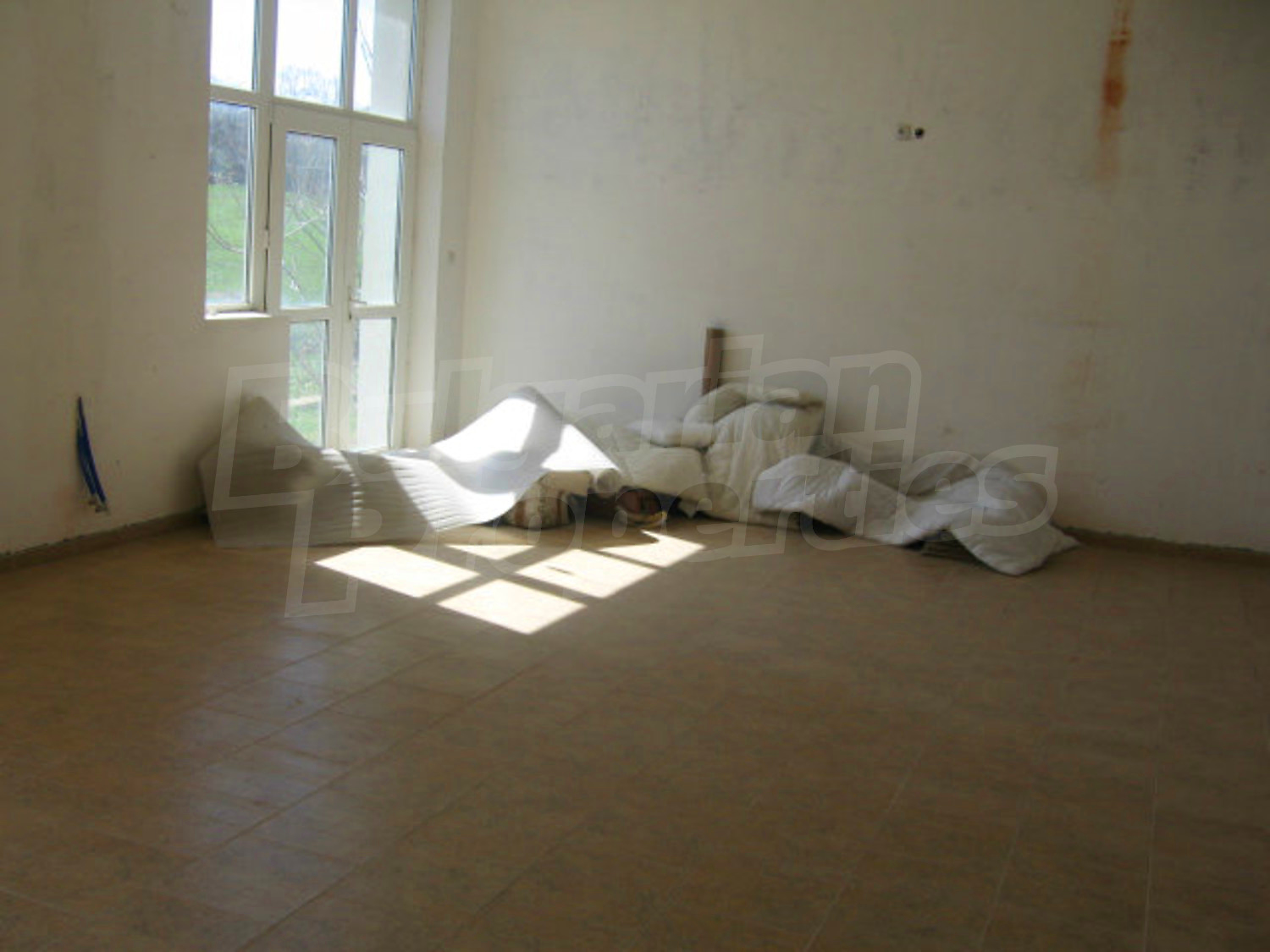 Gallery Picture 51