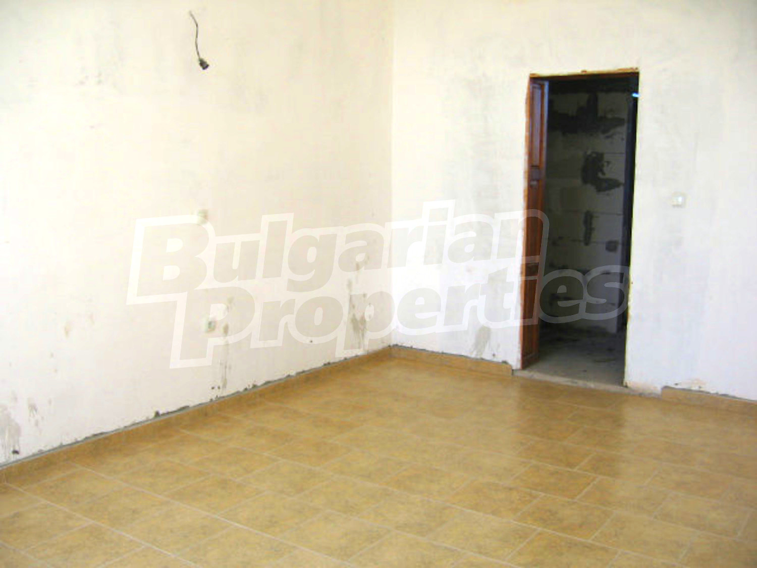 Gallery Picture 54