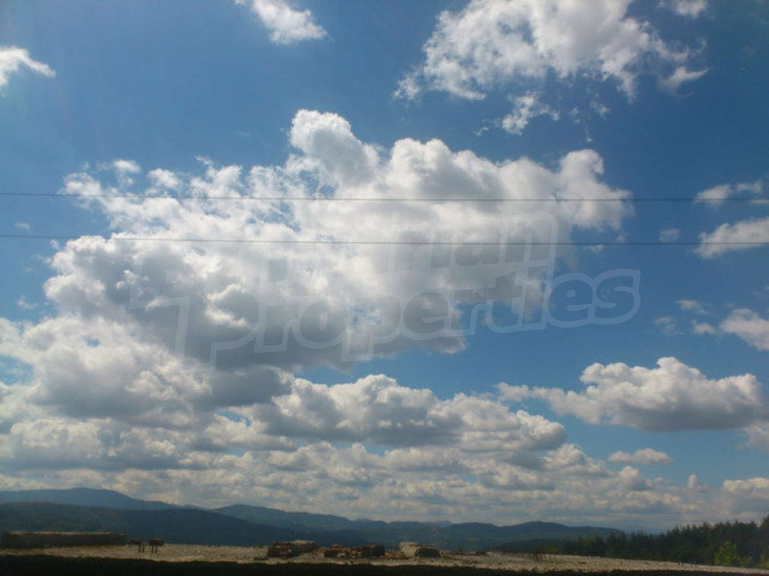 Gallery Picture 16