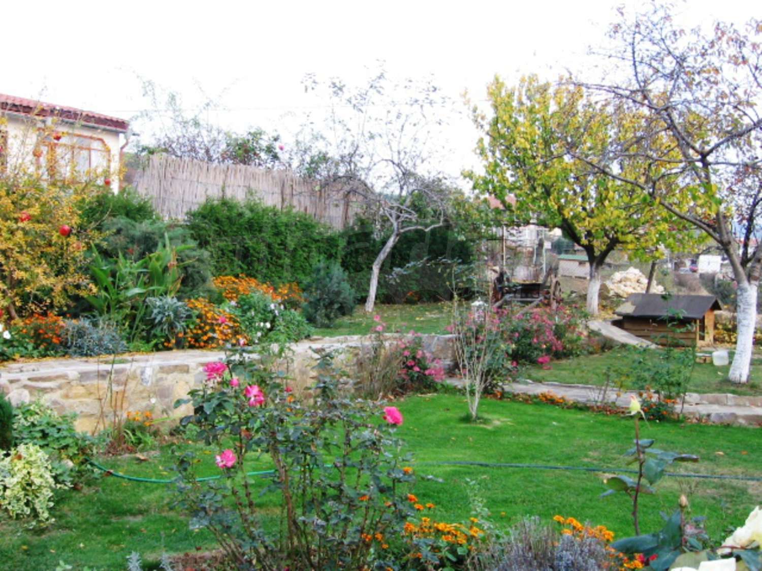 Gallery Picture 7
