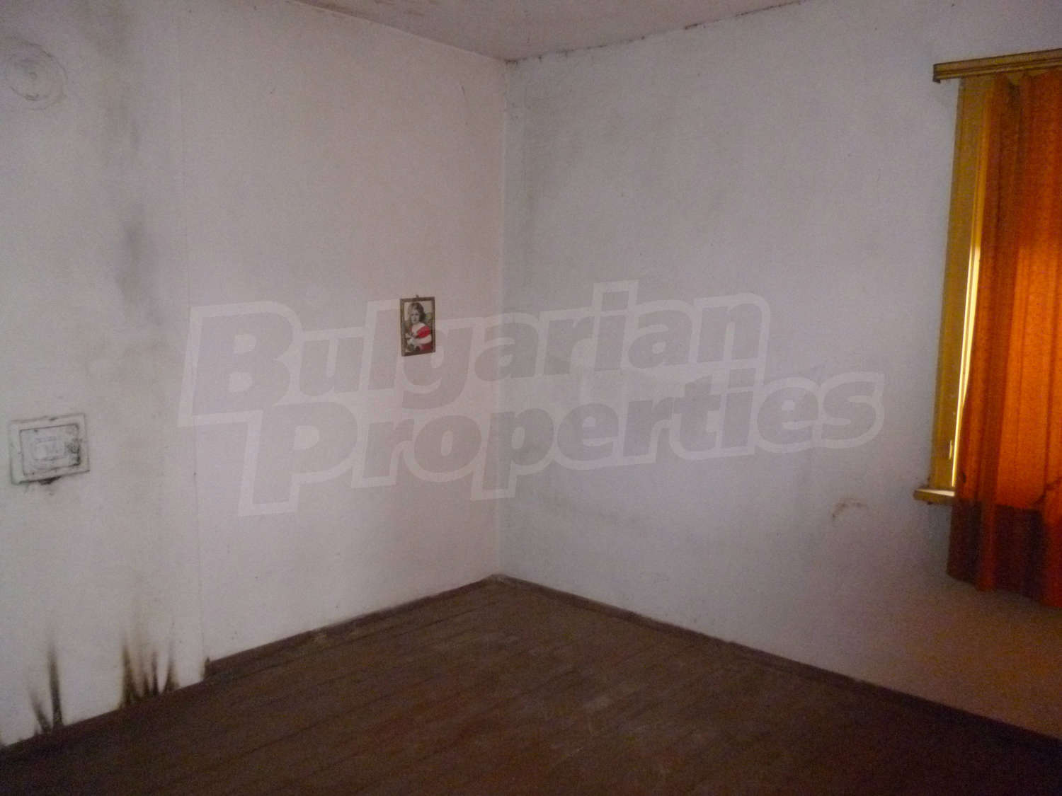 Gallery Picture 6