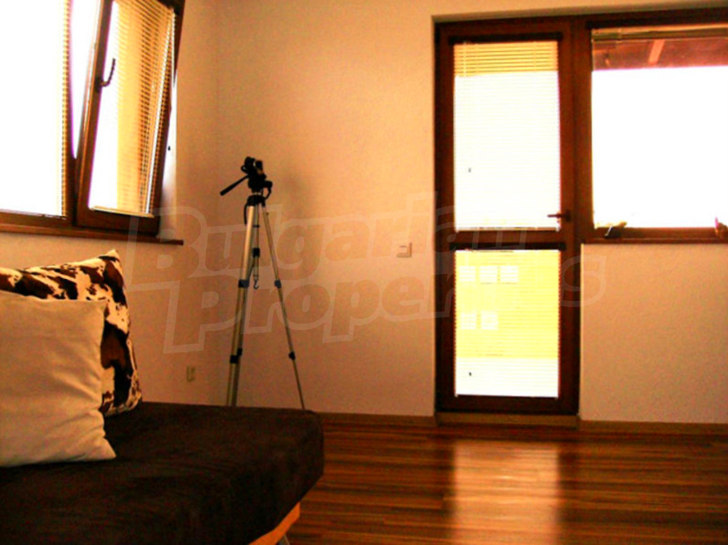 Gallery Picture 29