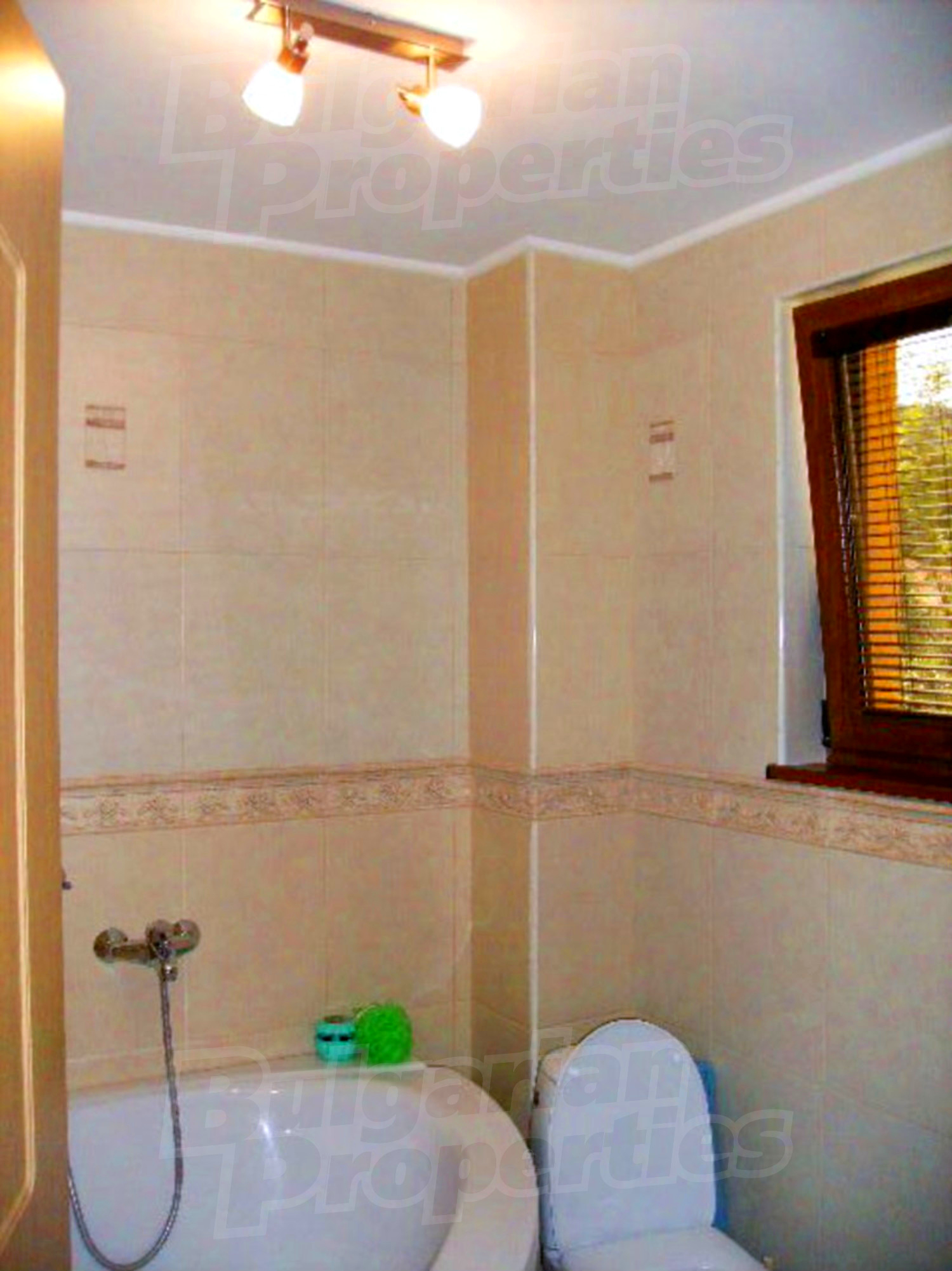 Gallery Picture 31