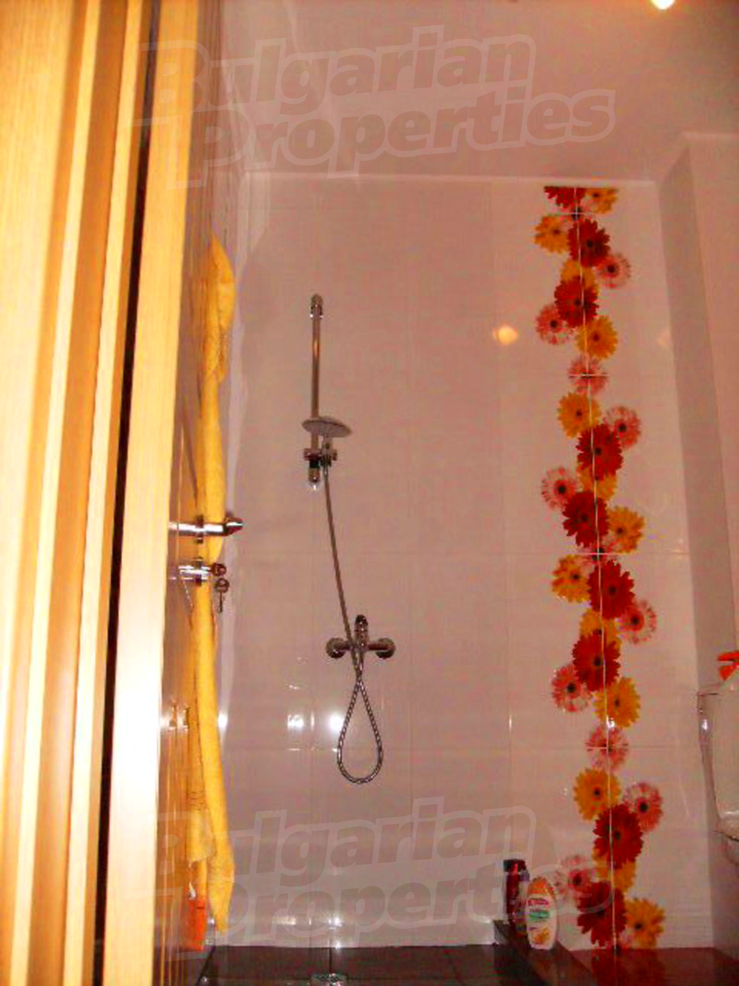 Gallery Picture 32