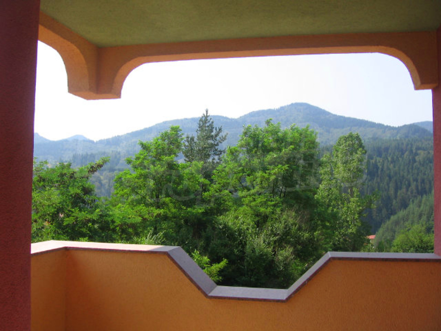 Gallery Picture 13