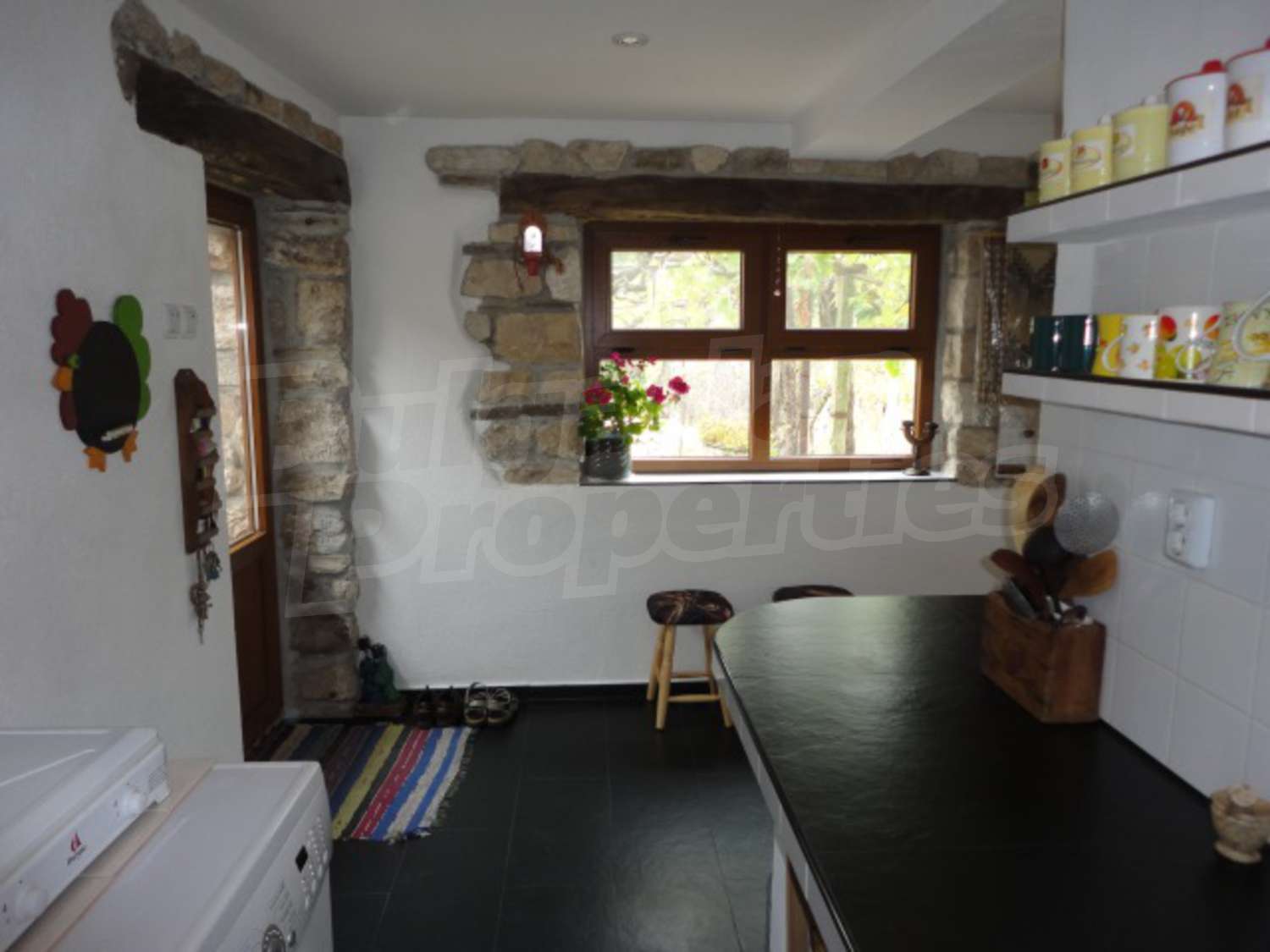 Gallery Picture 25