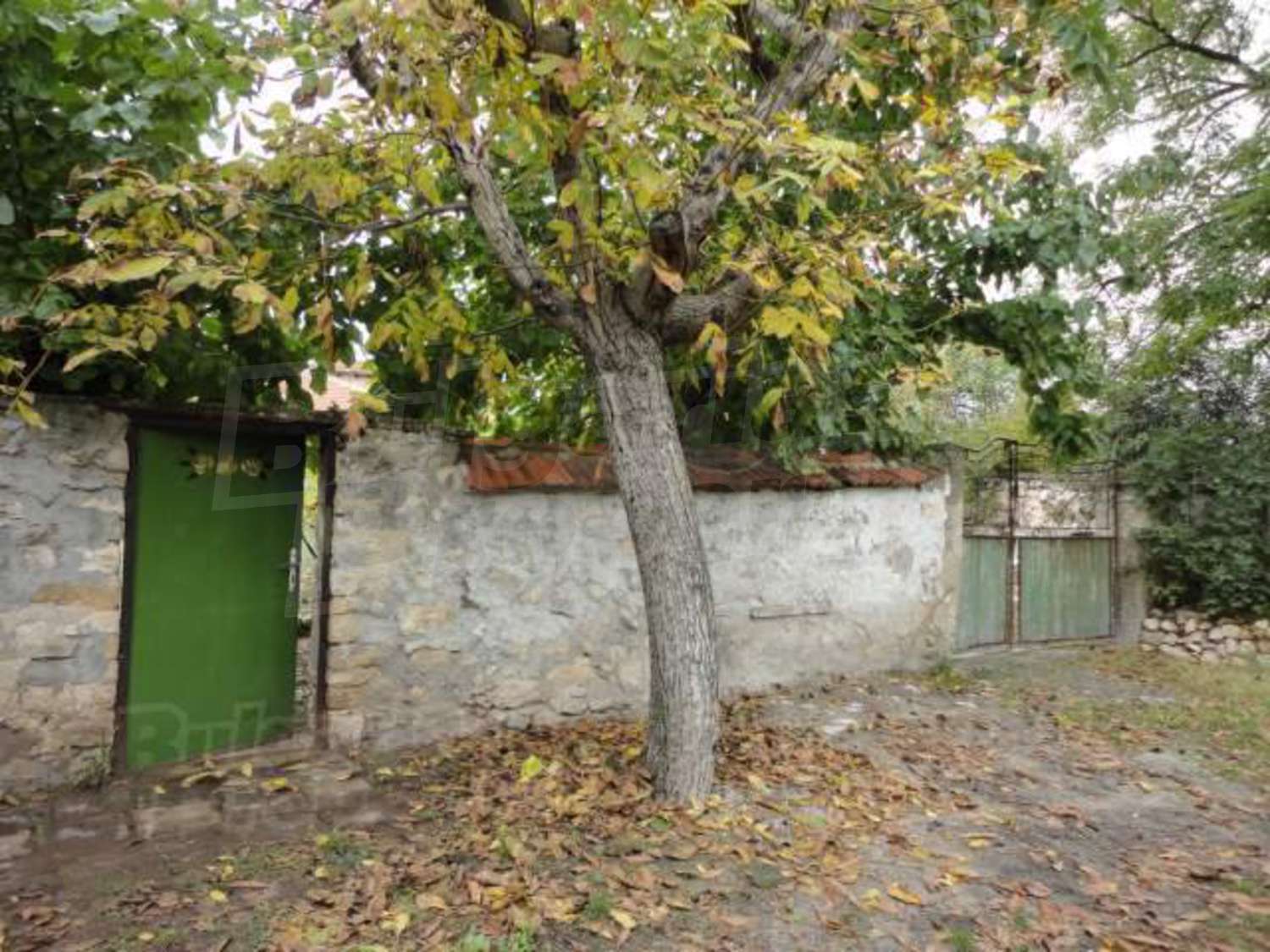 Gallery Picture 65