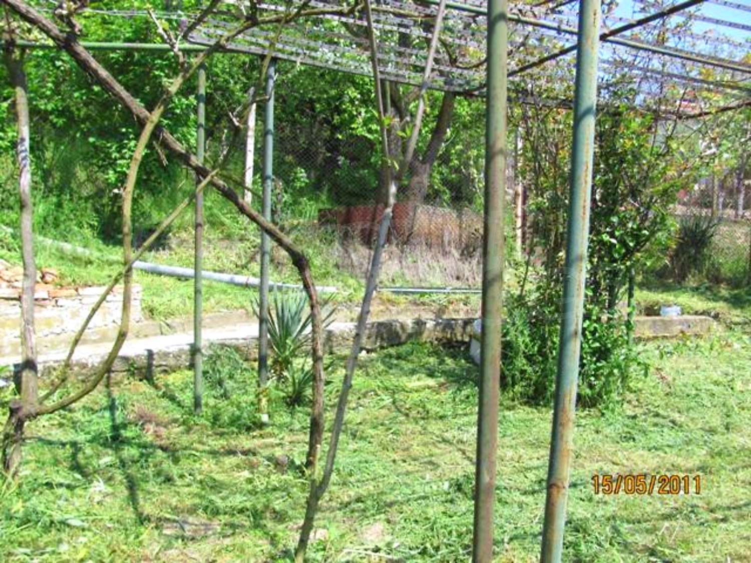 Gallery Picture 14
