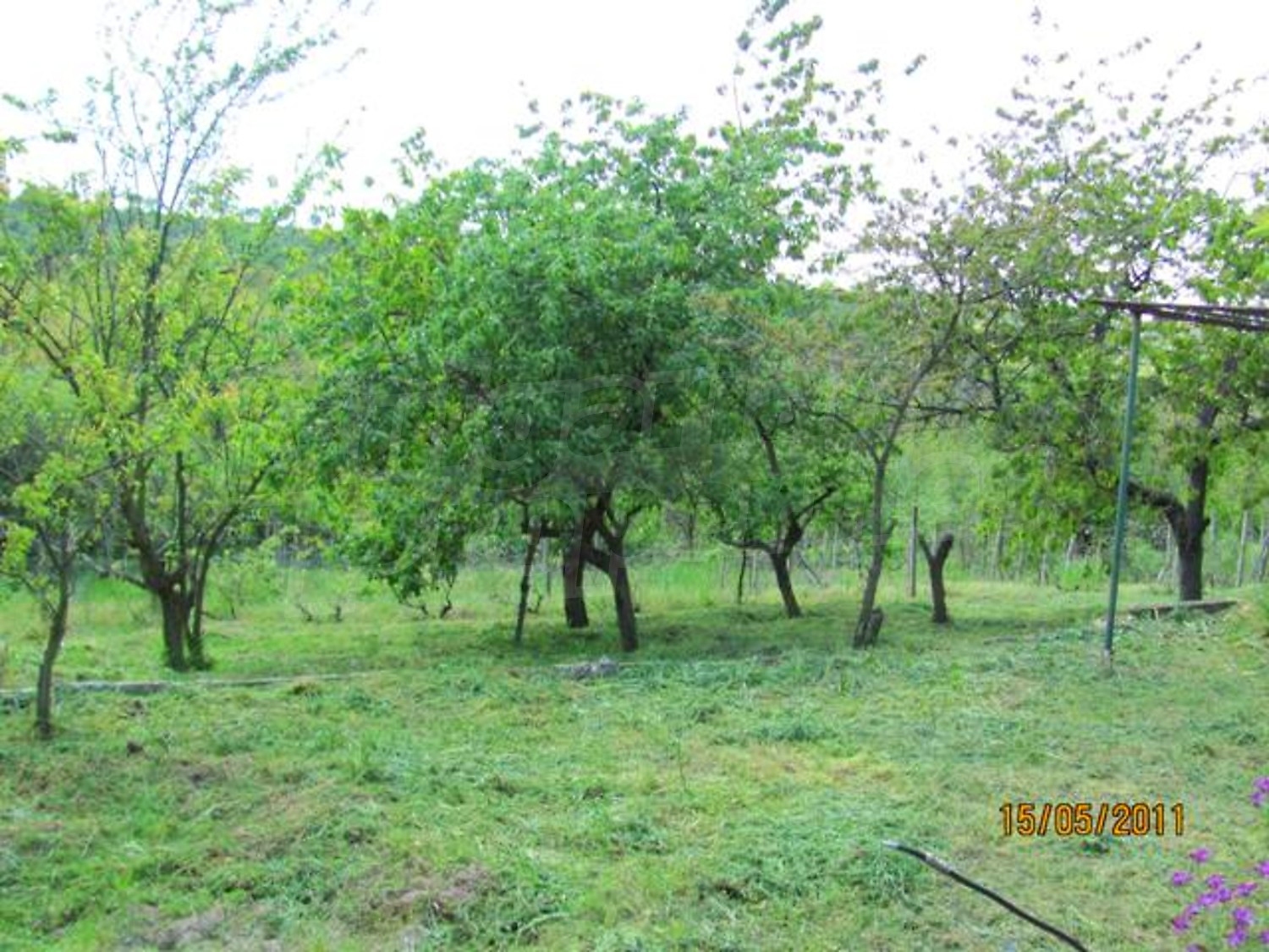 Gallery Picture 5