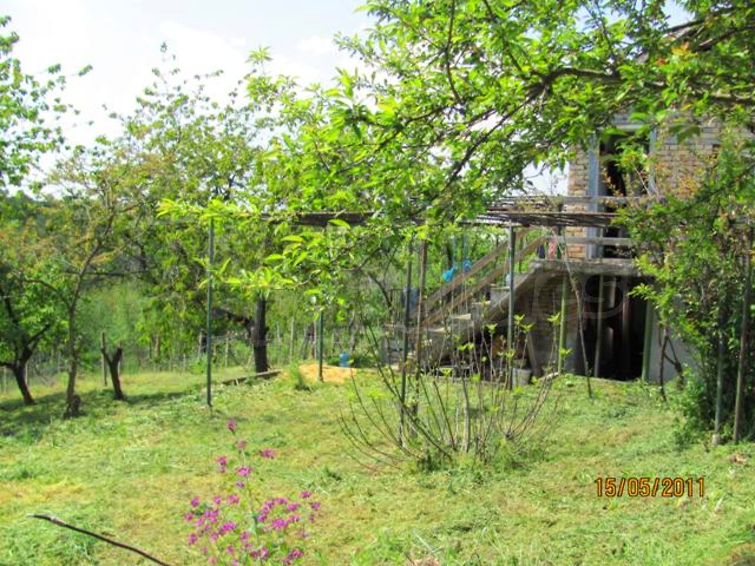 Gallery Picture 6