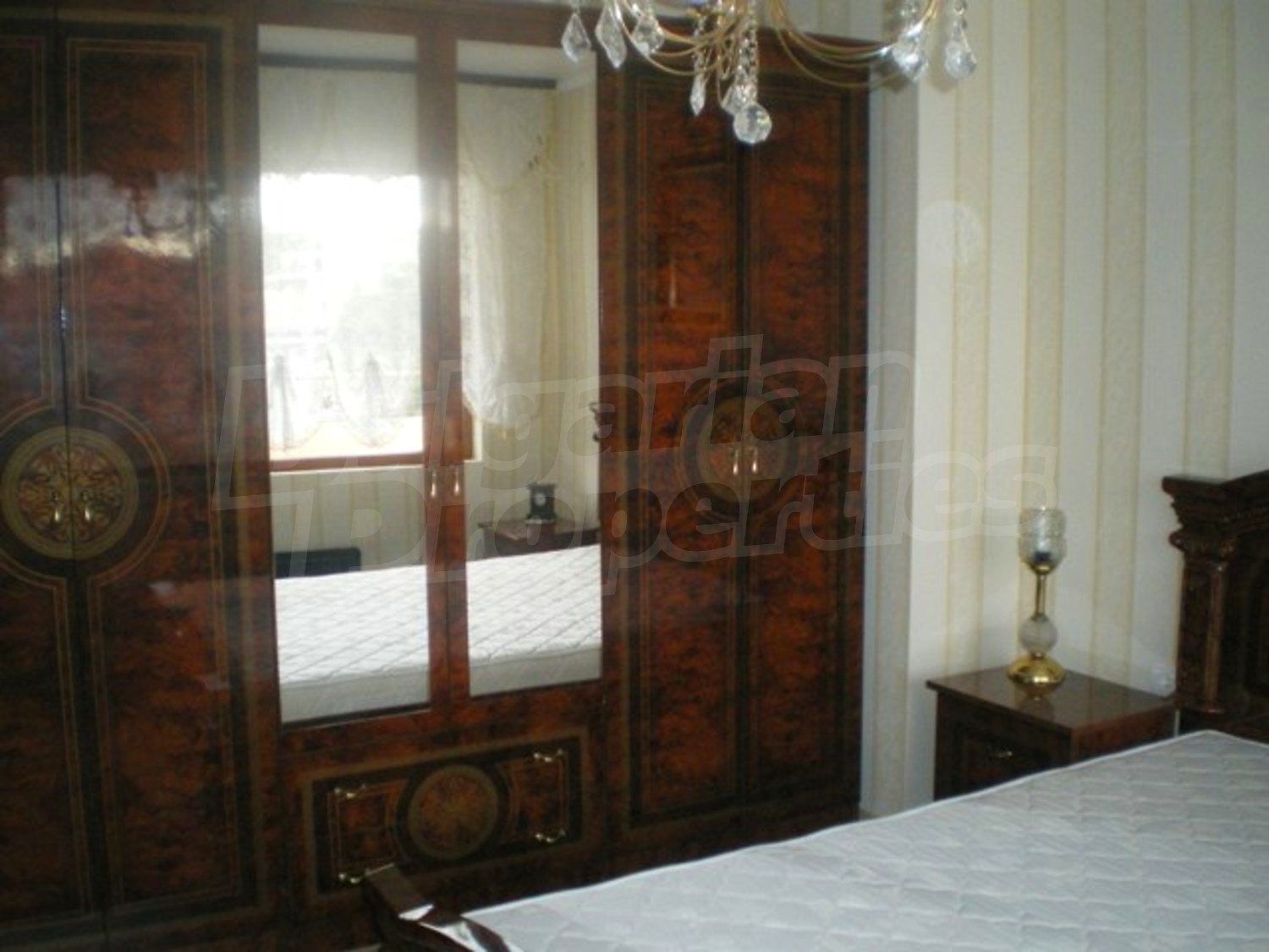 Gallery Picture 26
