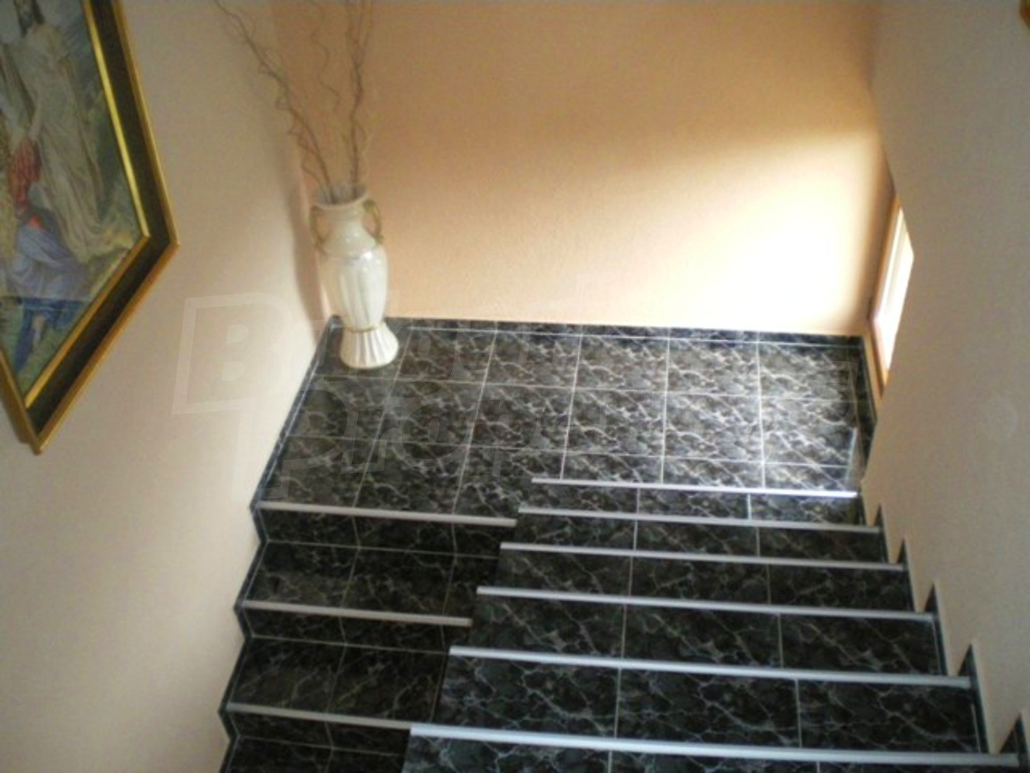 Gallery Picture 31