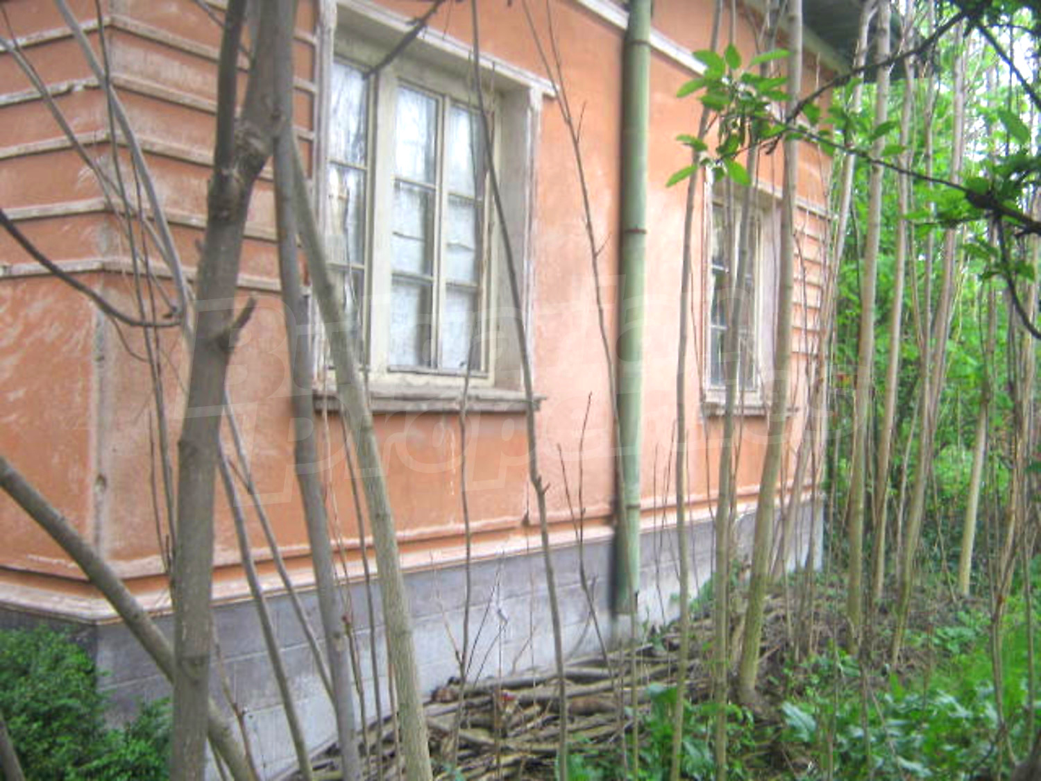 Gallery Picture 6