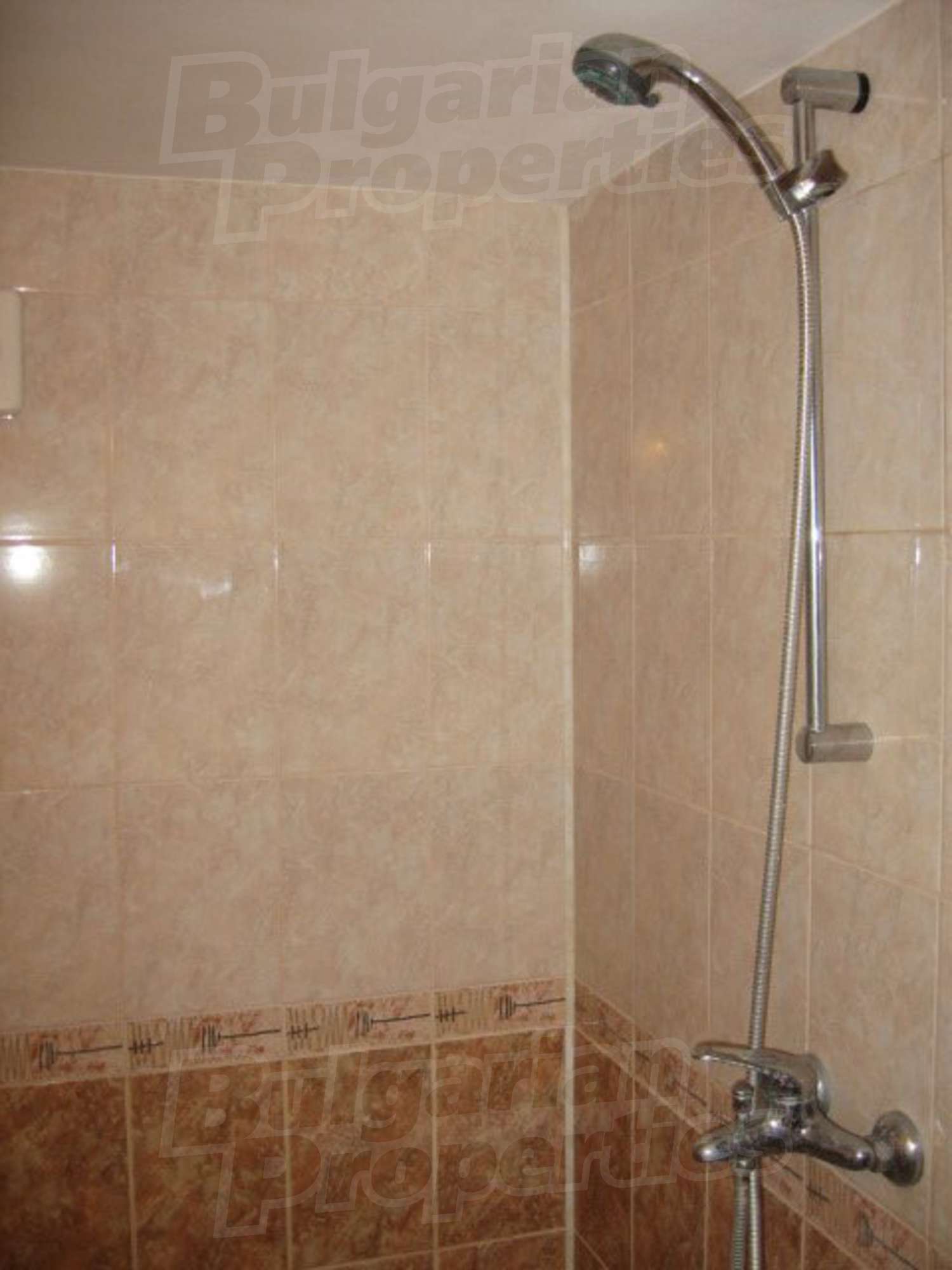 Gallery Picture 10