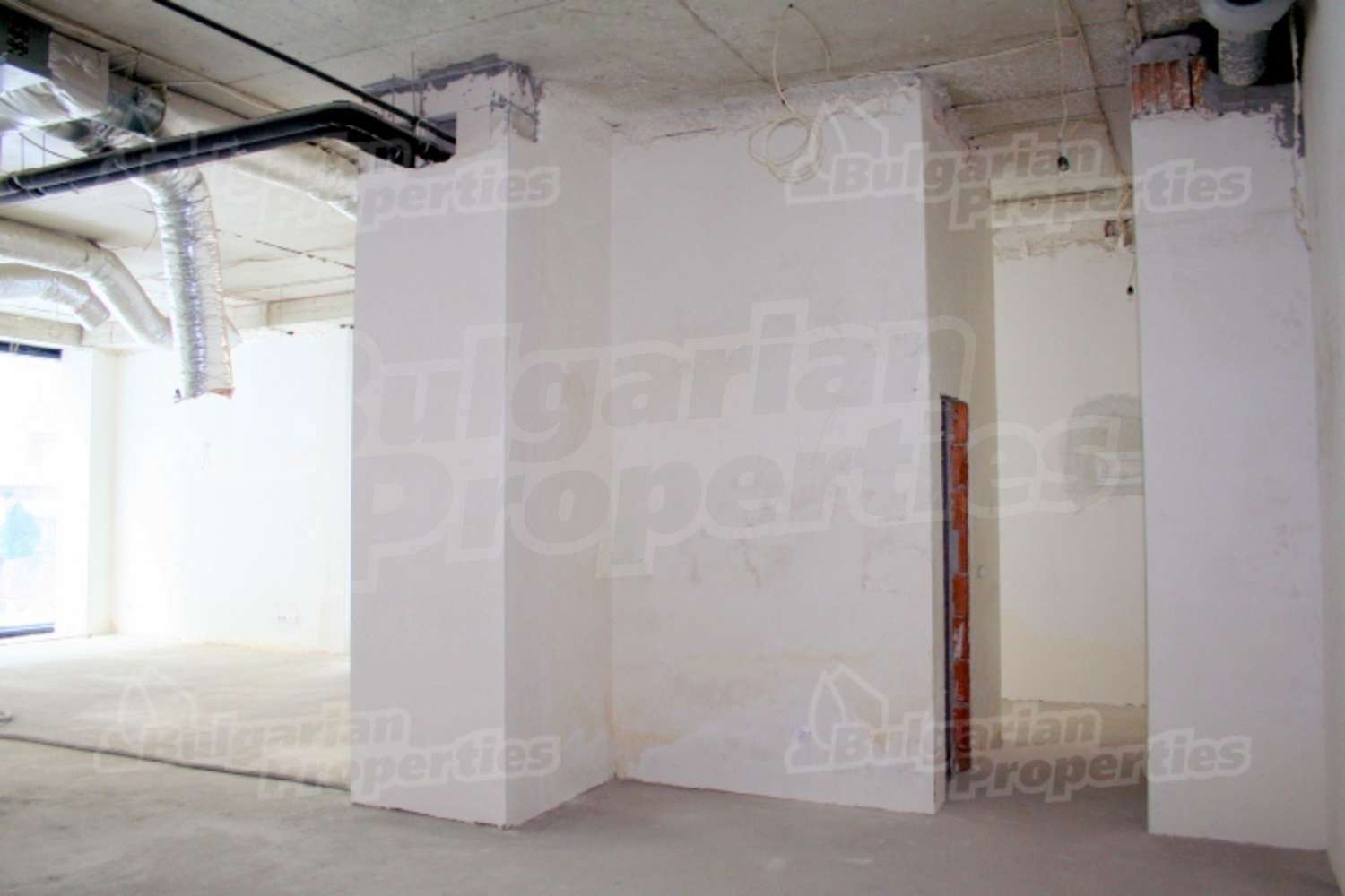 Gallery Picture 10