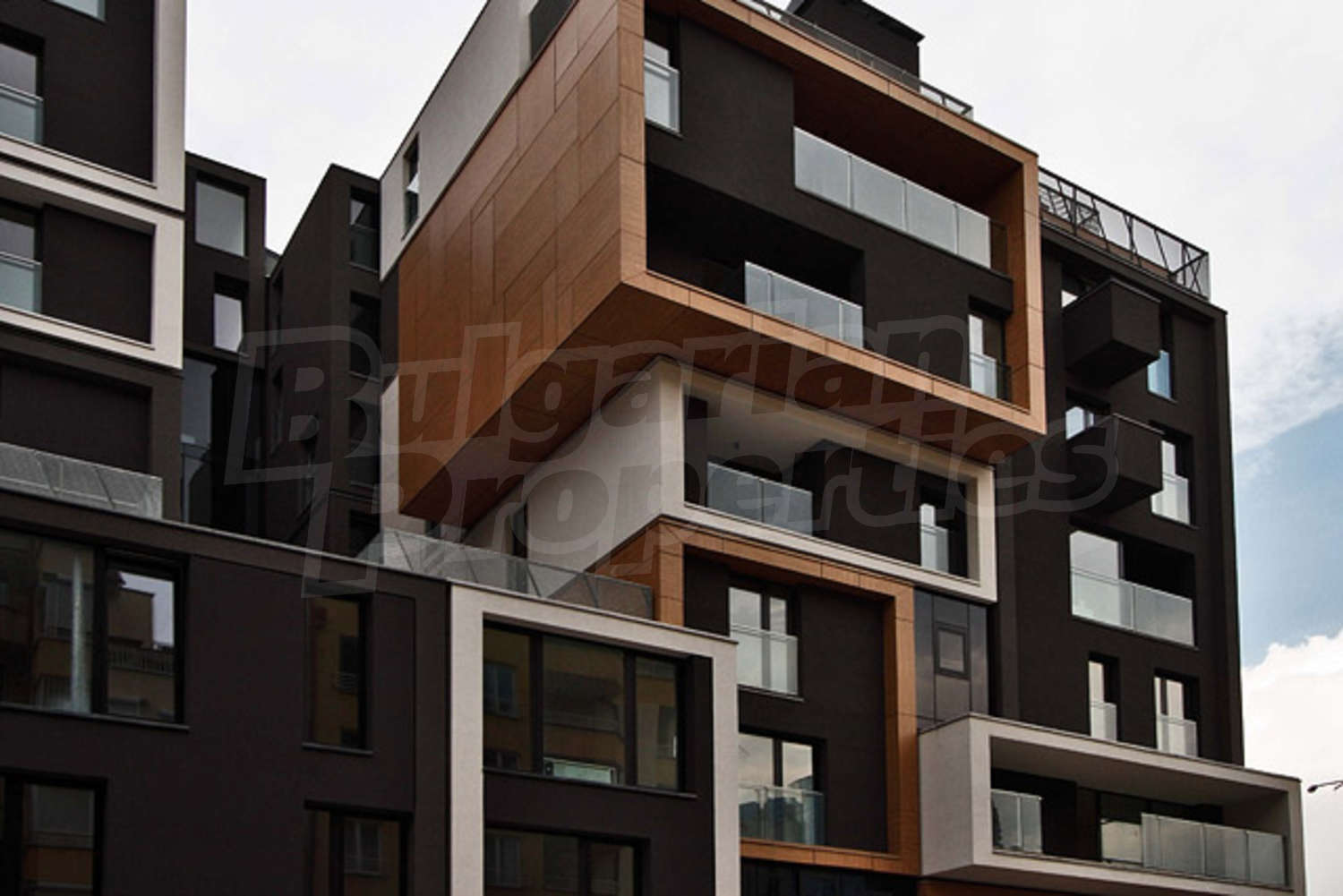 Gallery Picture 10