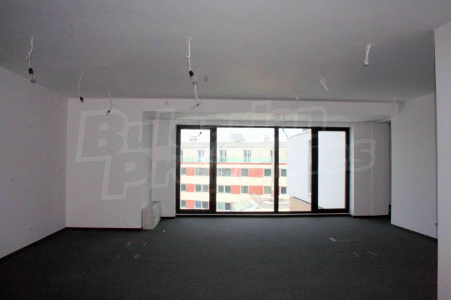 Gallery Picture 13