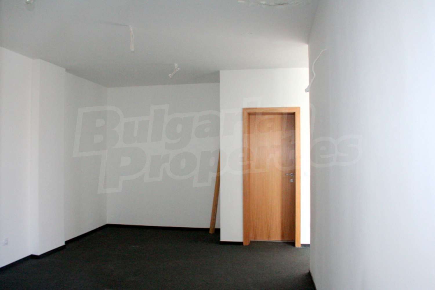Gallery Picture 15