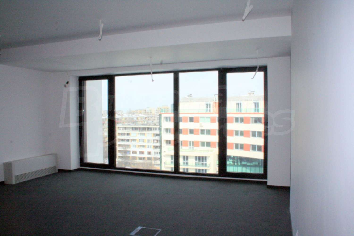 Gallery Picture 16