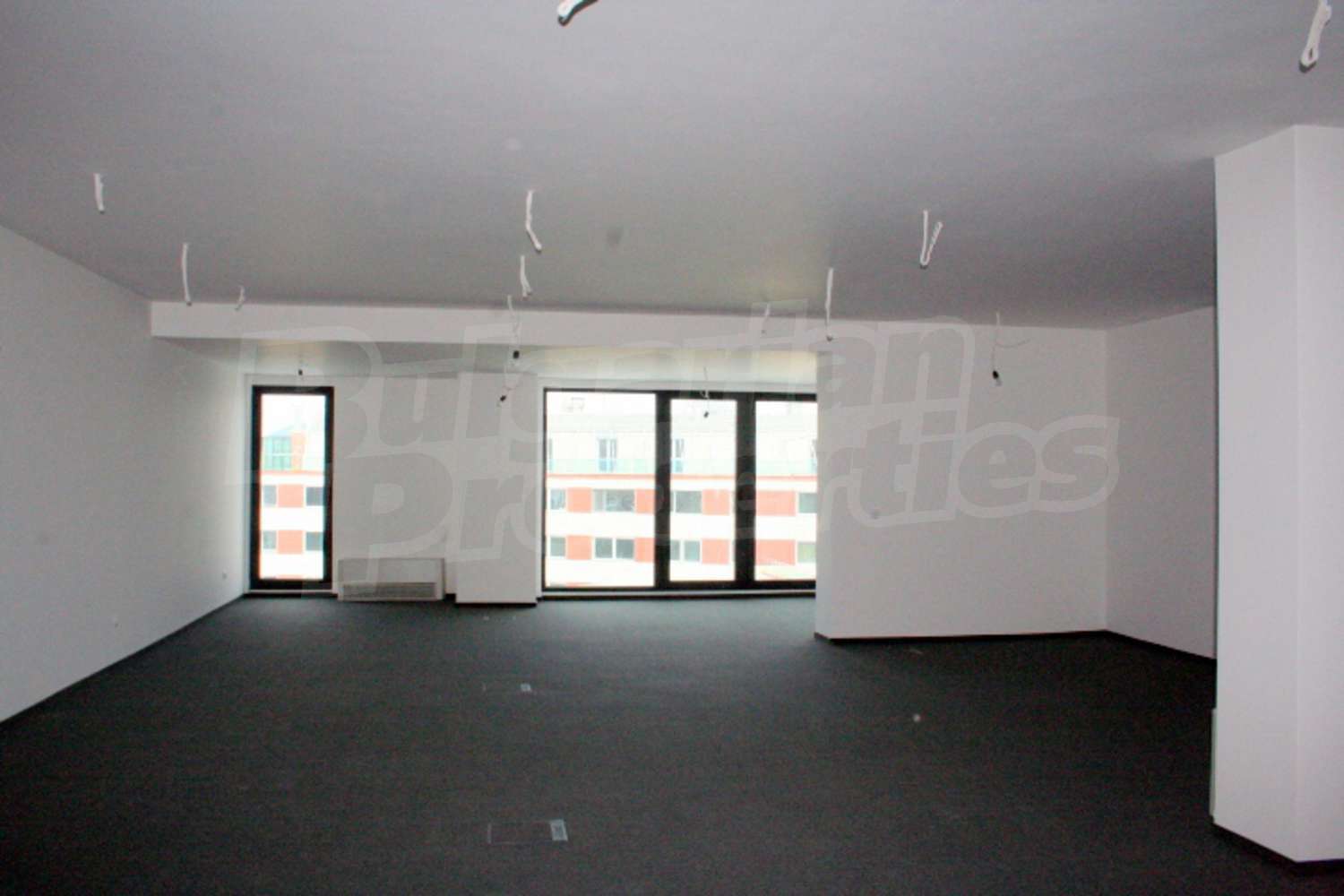 Gallery Picture 17